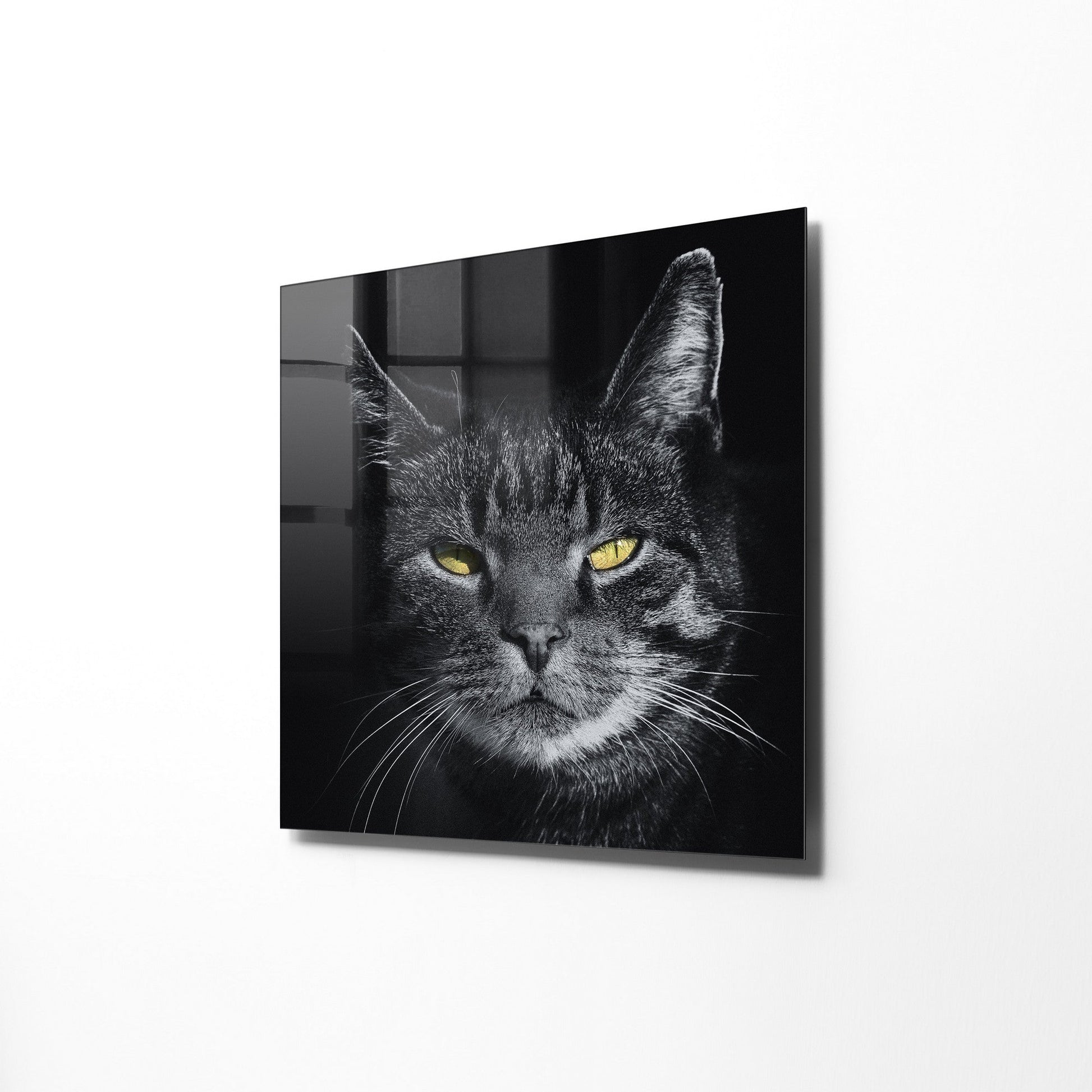 970GLS1654Tribo Home