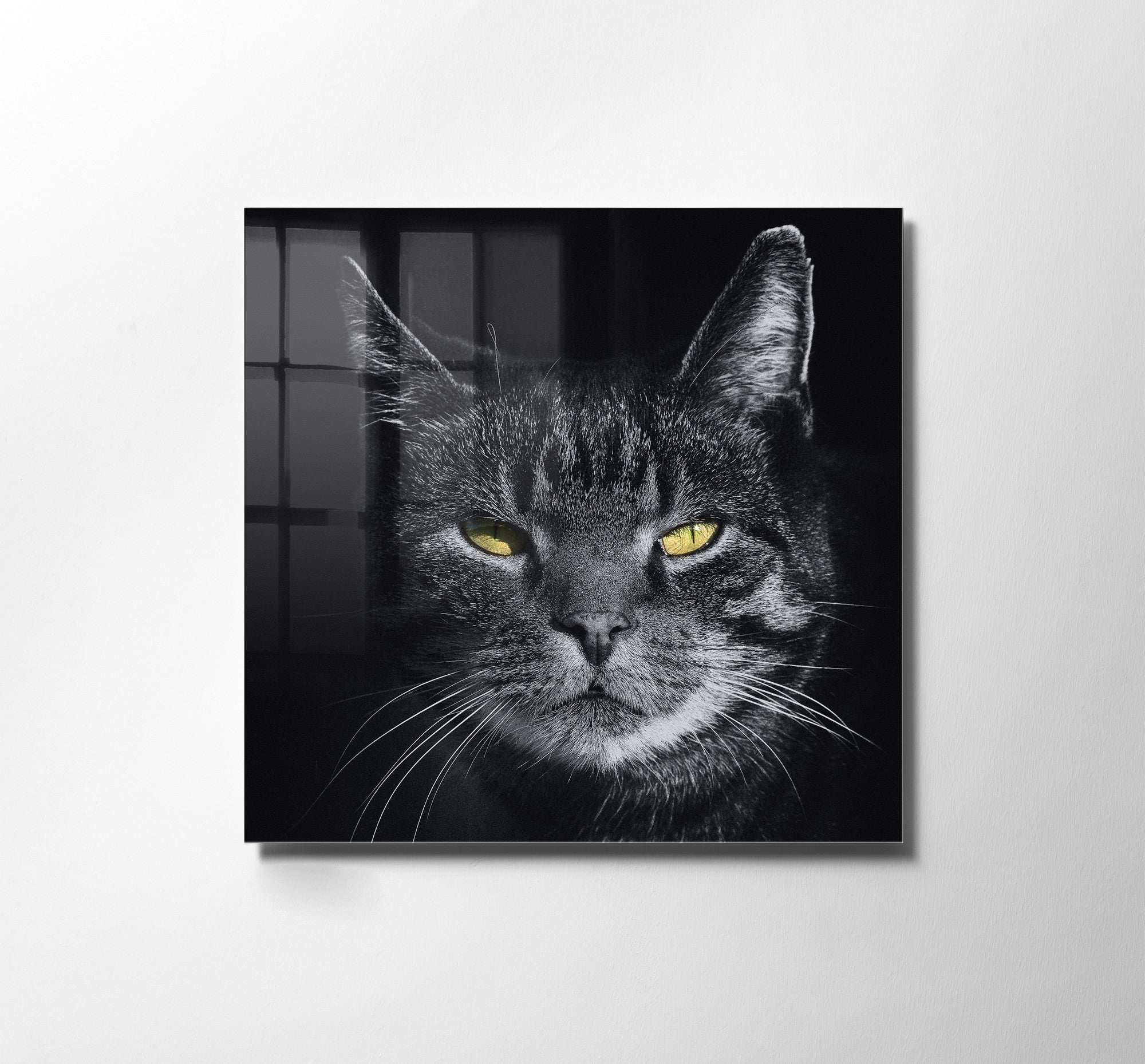 970GLS1655Tribo Home