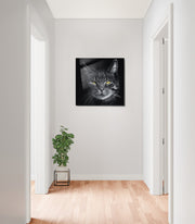 970GLS1655Tribo Home