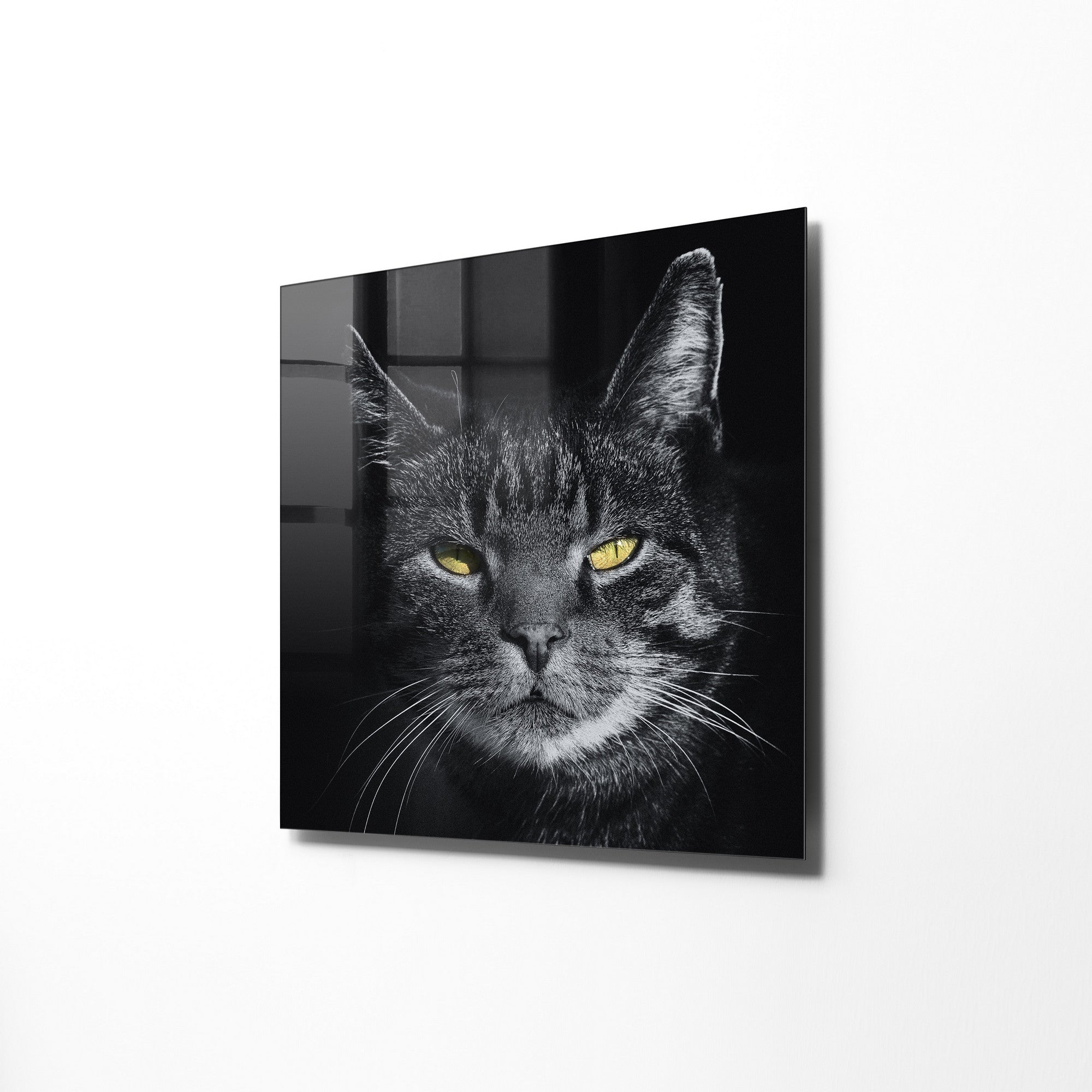 970GLS1655Tribo Home