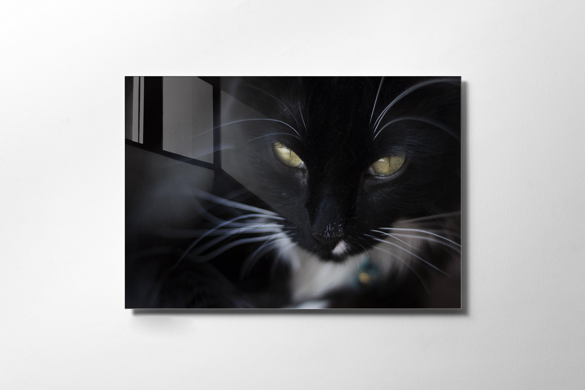 970GLS1658Tribo Home