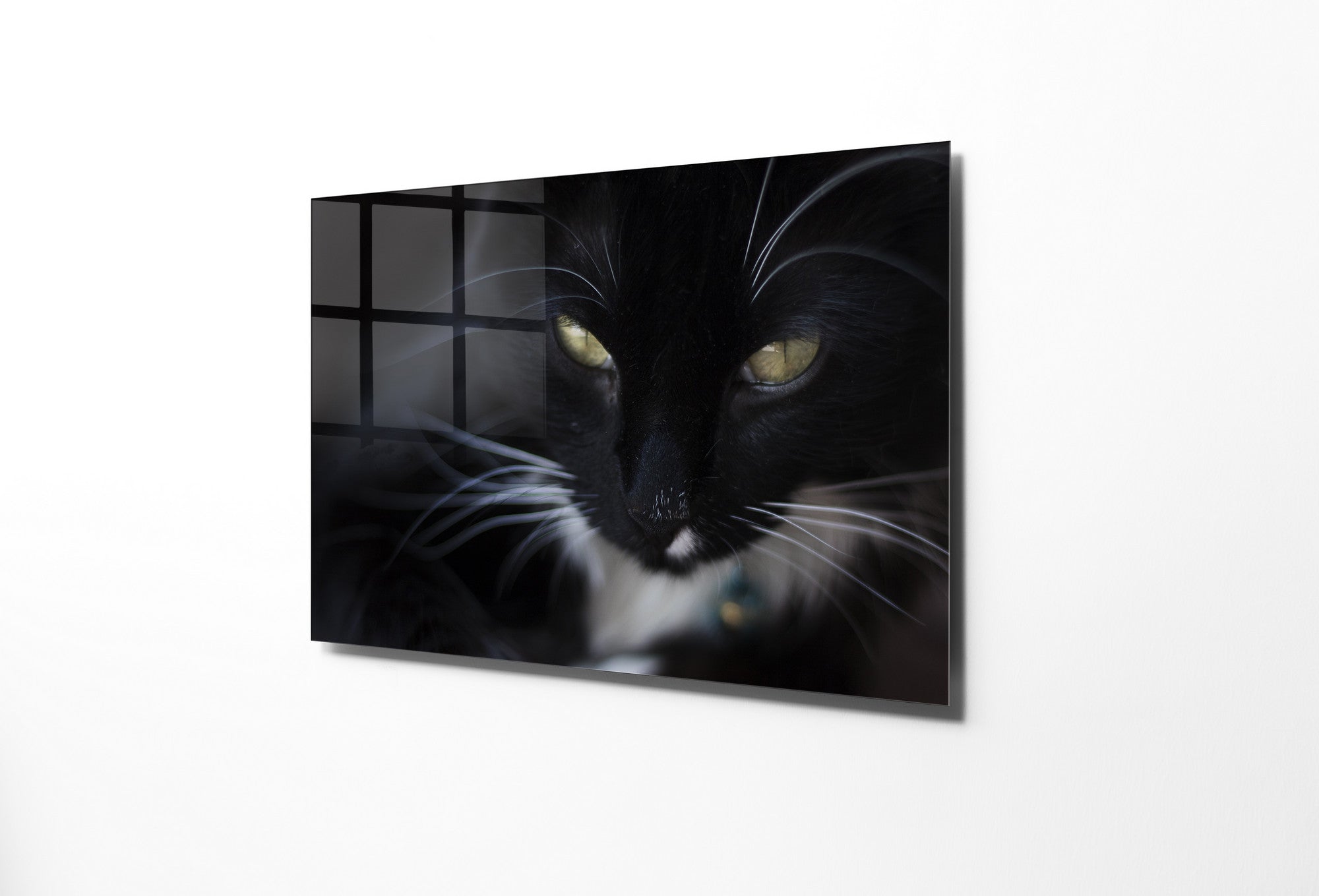 970GLS1658Tribo Home