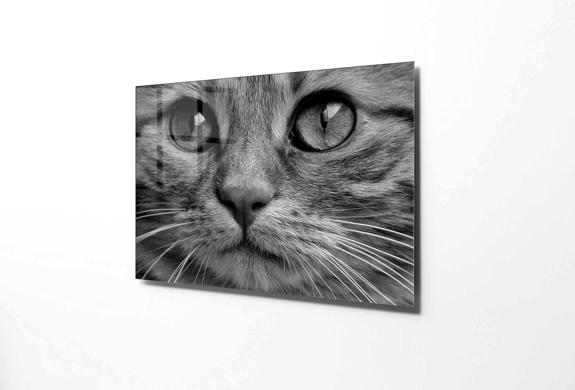 970GLS1663Tribo Home