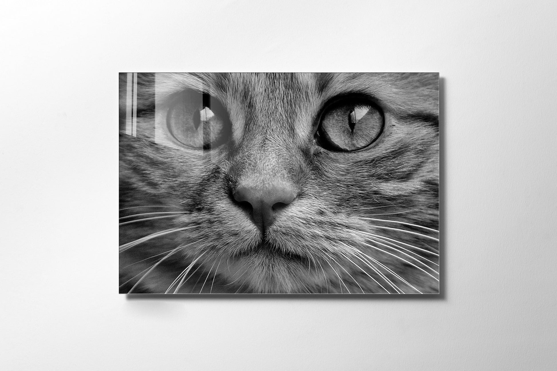 970GLS1663Tribo Home