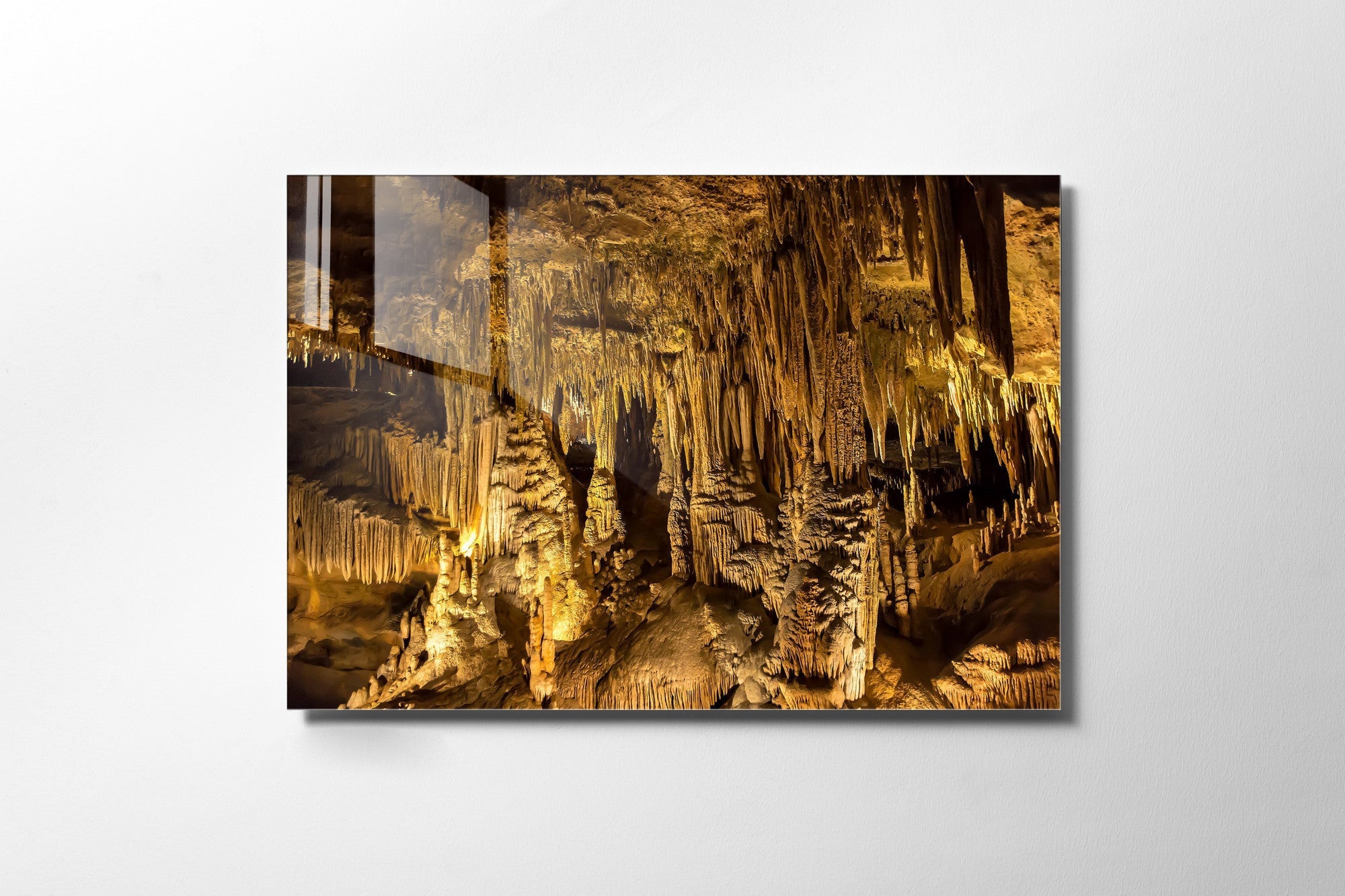 970GLS1666Tribo Home