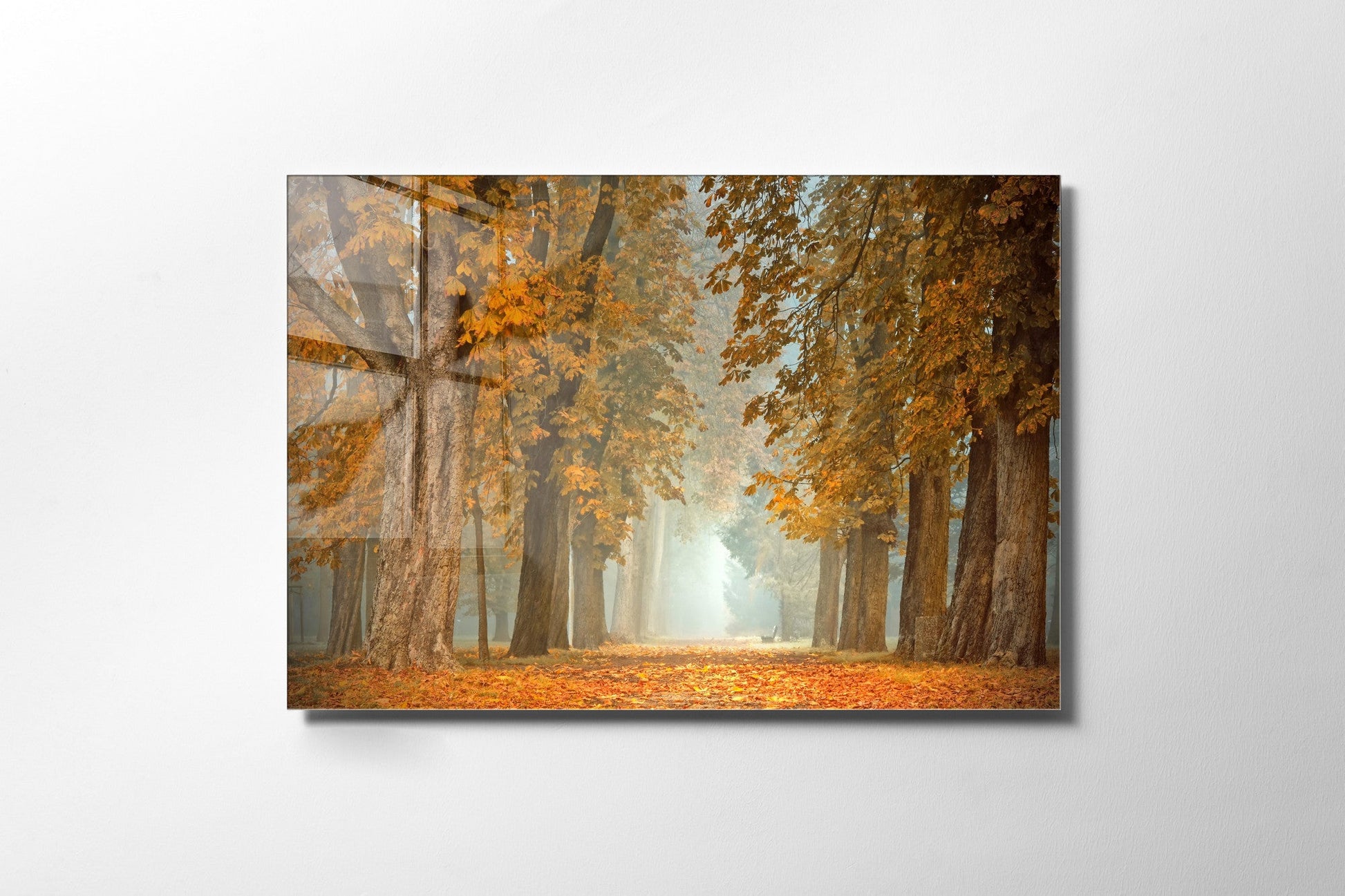 970GLS1670Tribo Home