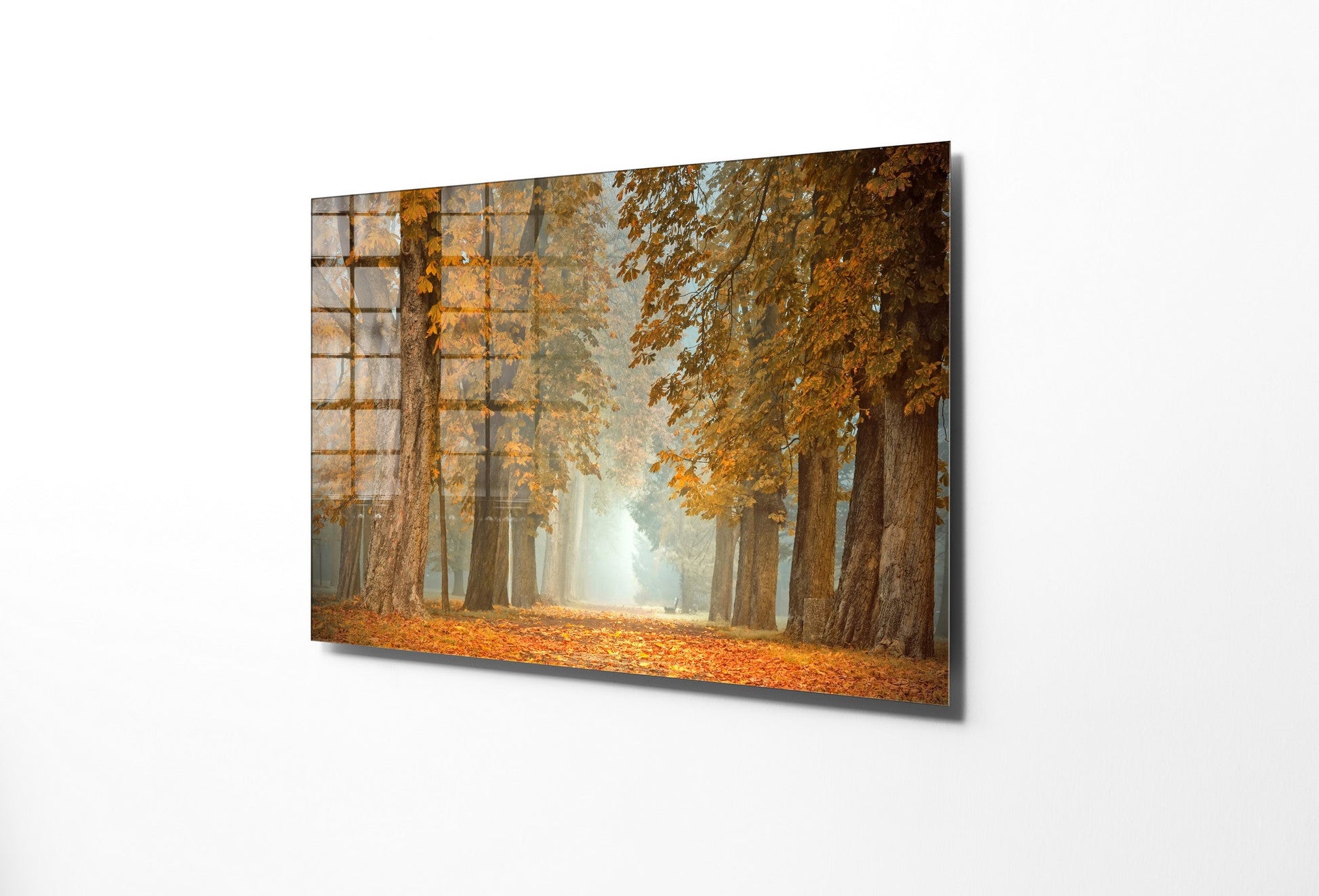 970GLS1672Tribo Home