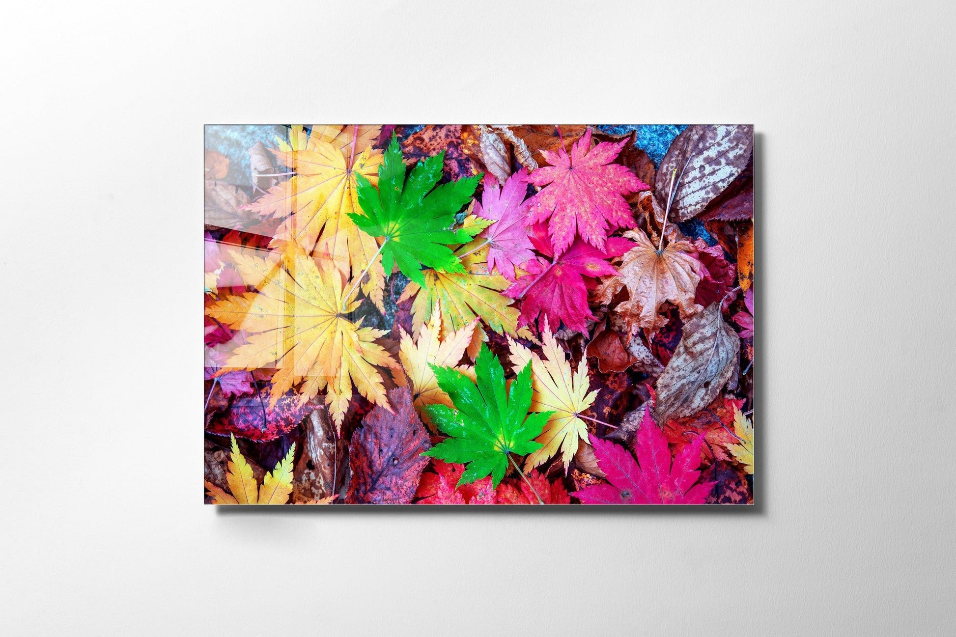 970GLS1727Tribo Home