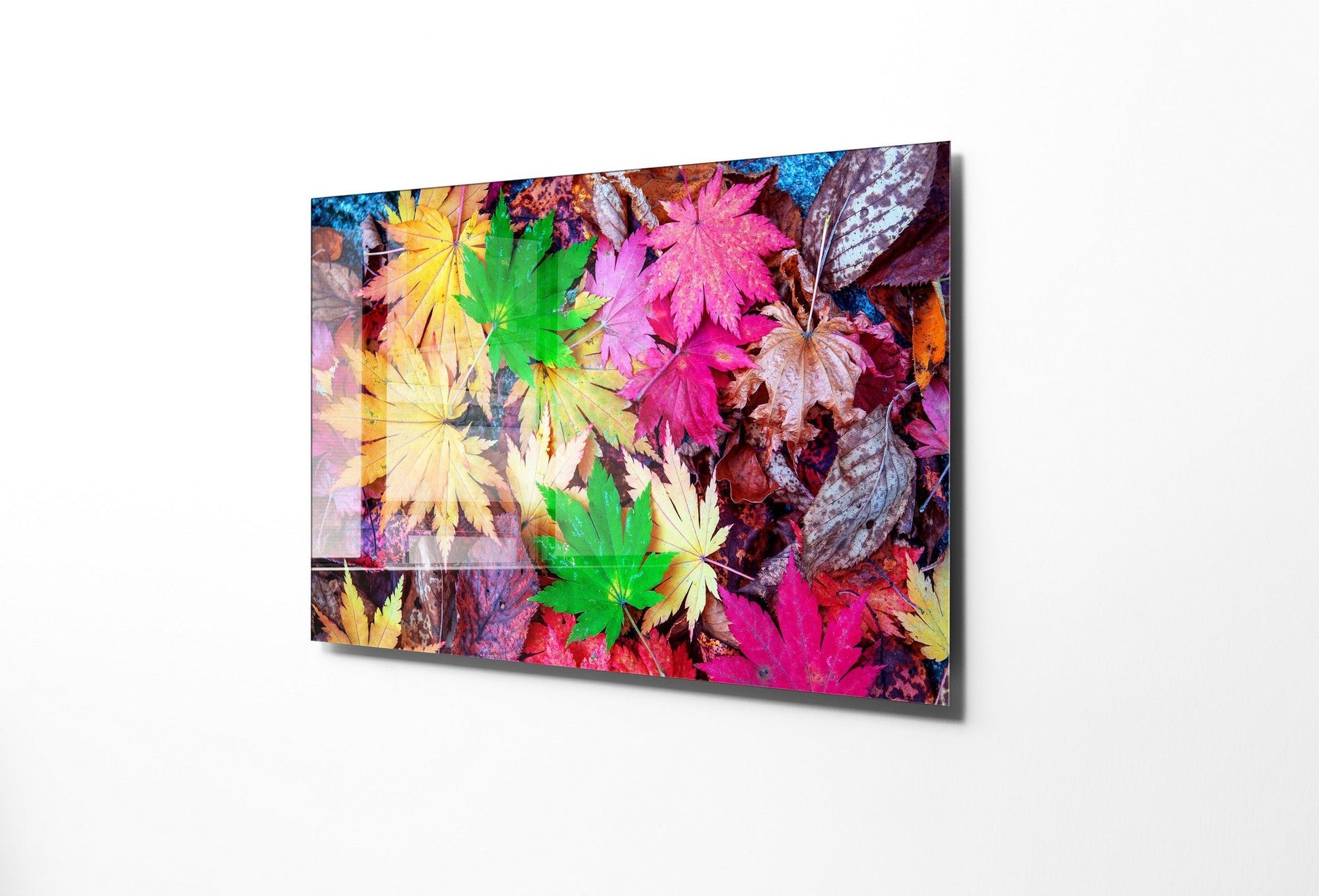 970GLS1728Tribo Home