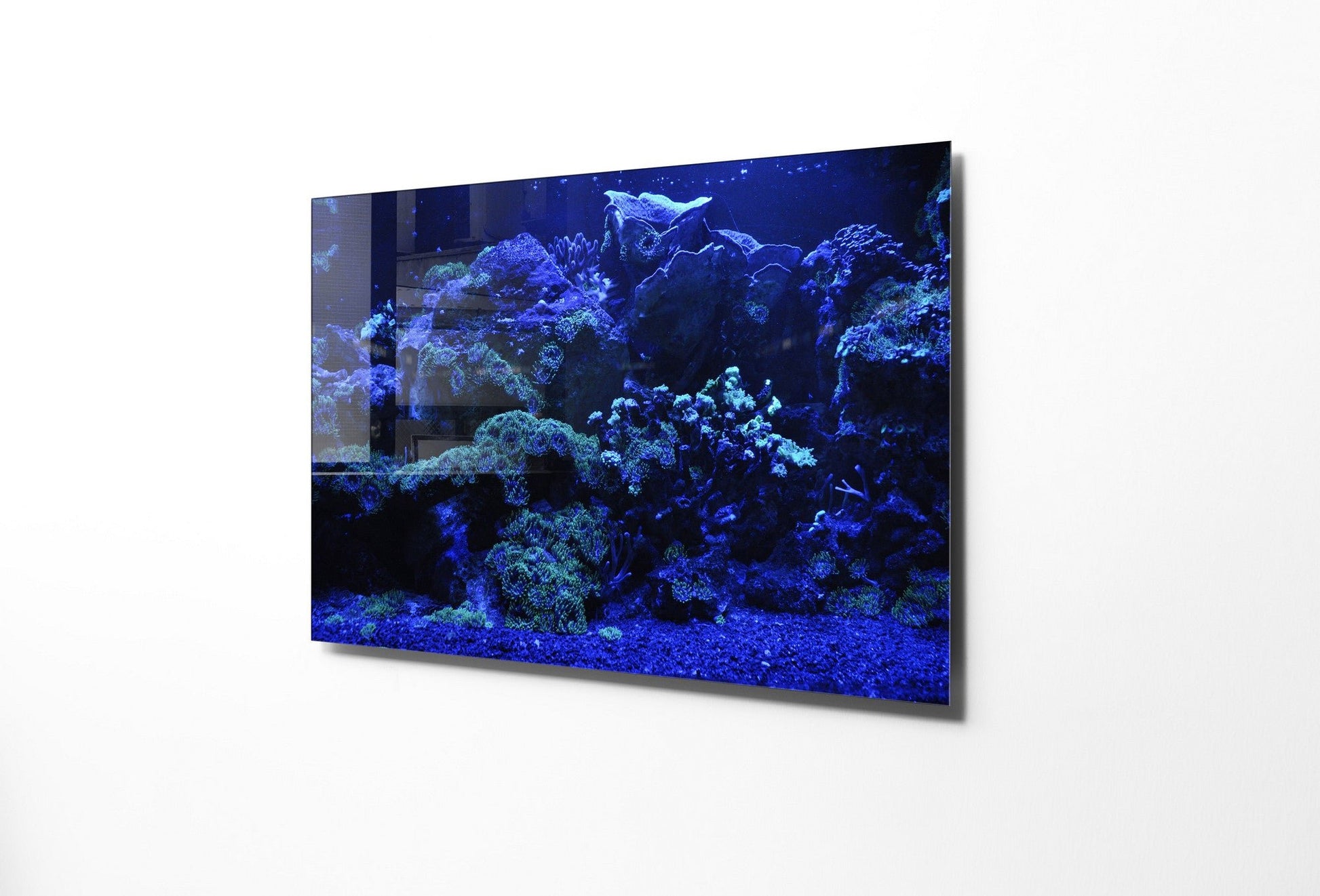 970GLS1748Tribo Home