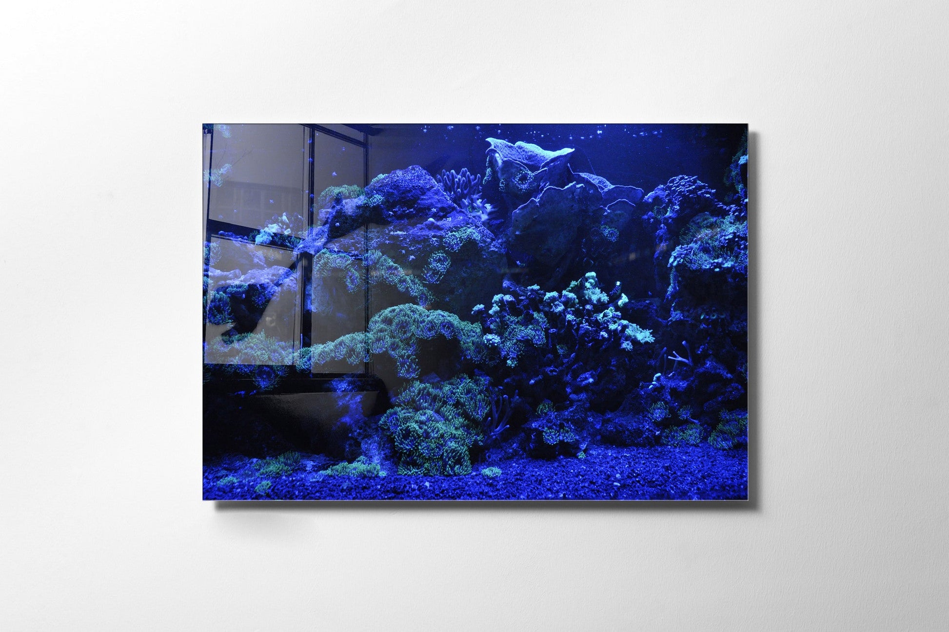 970GLS1748Tribo Home