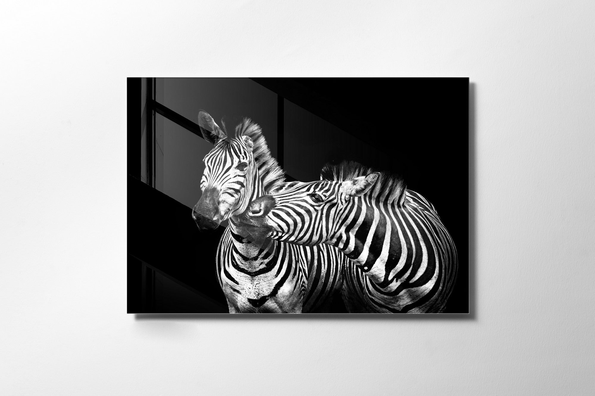 970GLS1763Tribo Home