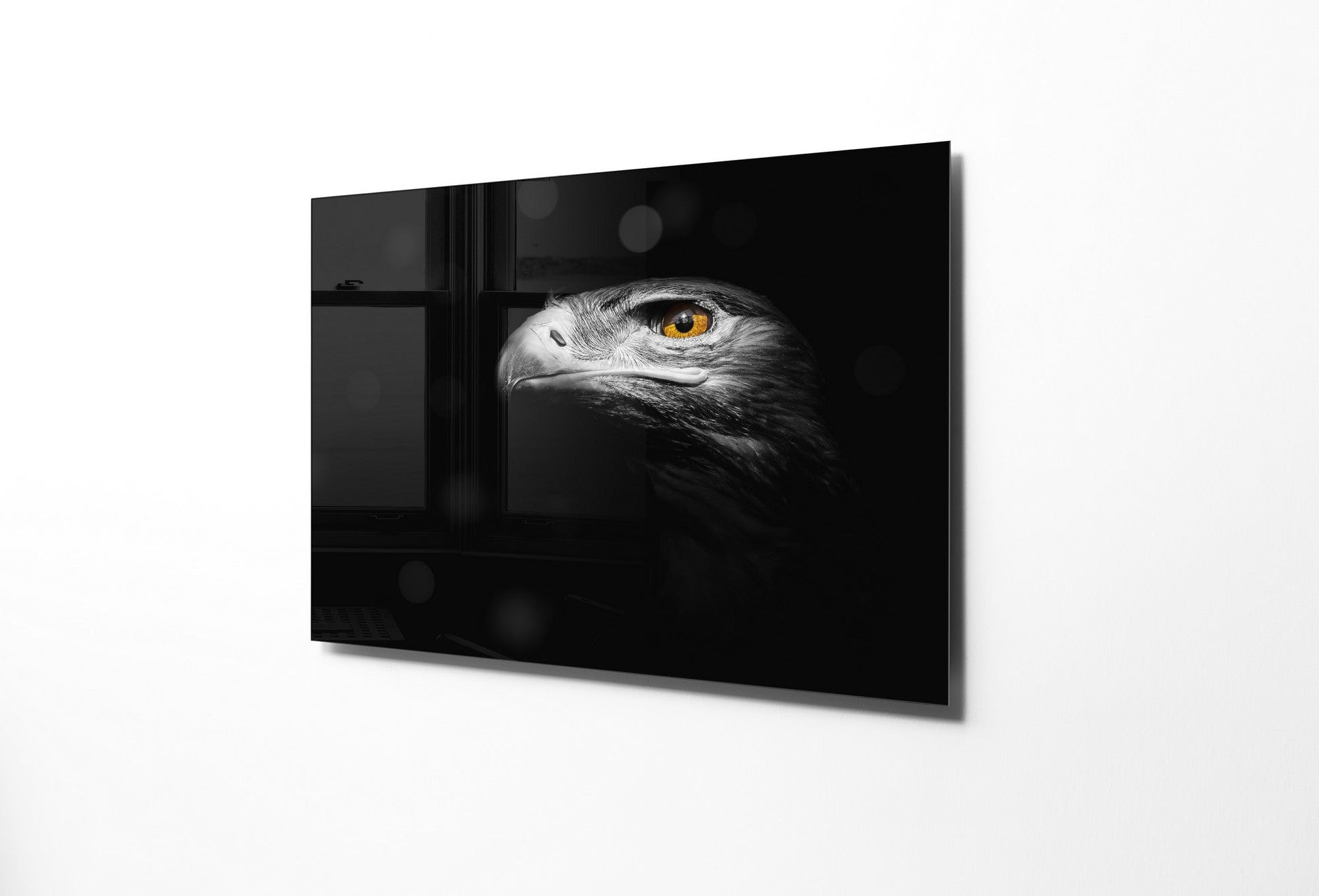 970GLS1780Tribo Home