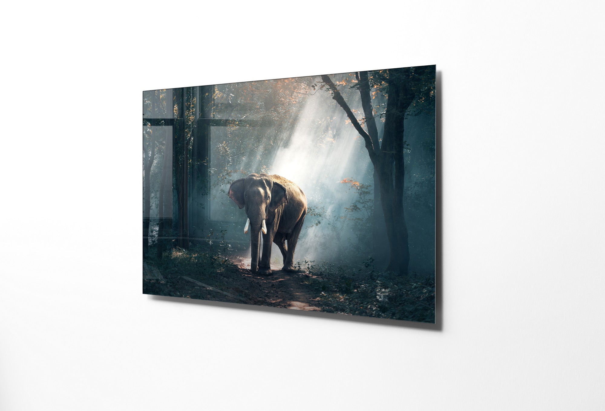 970GLS1781Tribo Home