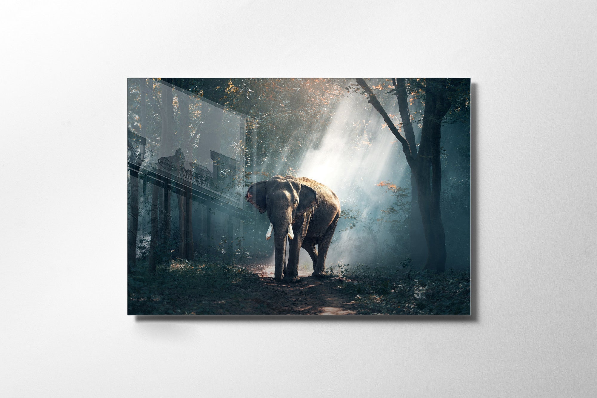 970GLS1781Tribo Home