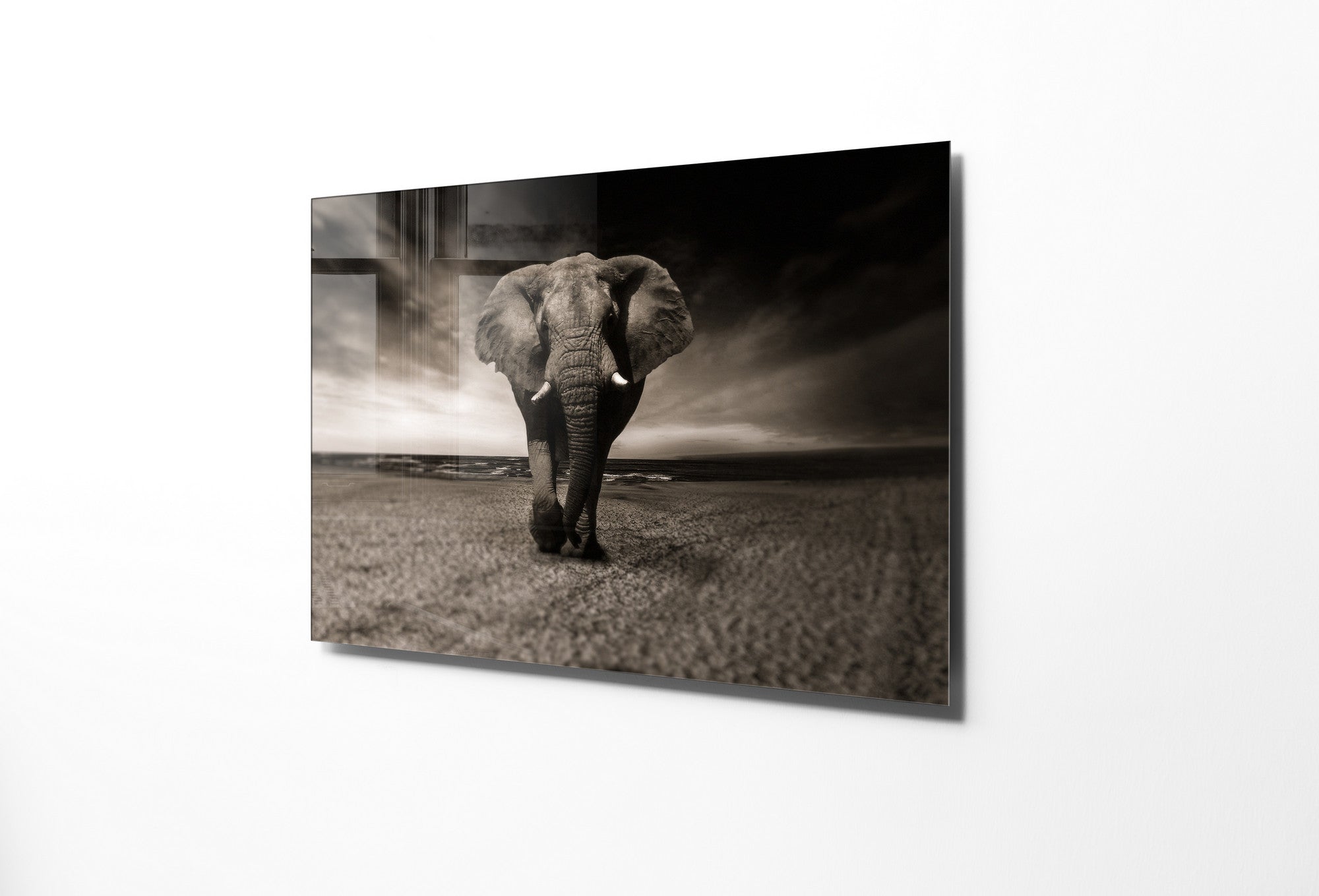 970GLS1787Tribo Home