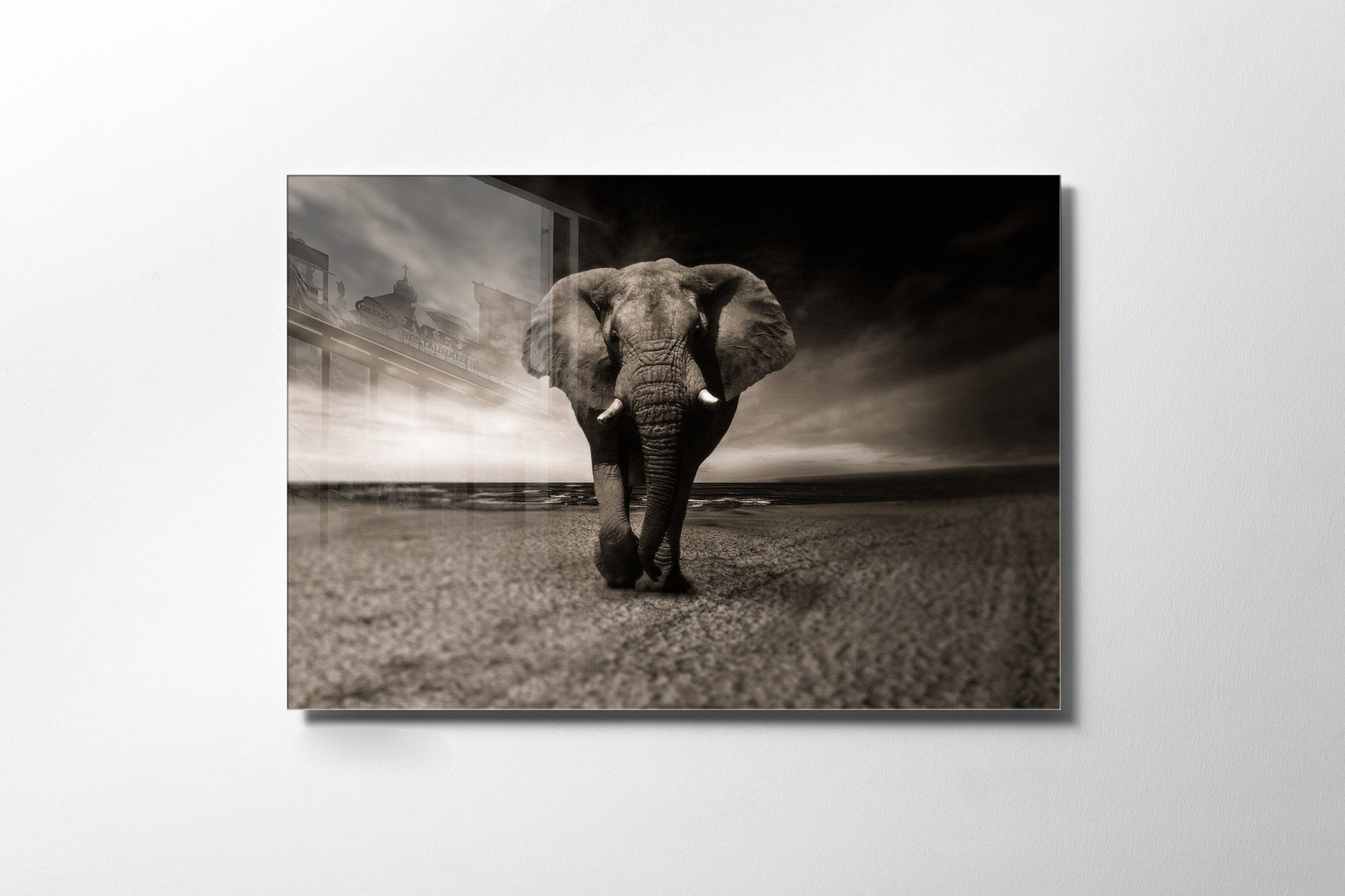 970GLS1787Tribo Home