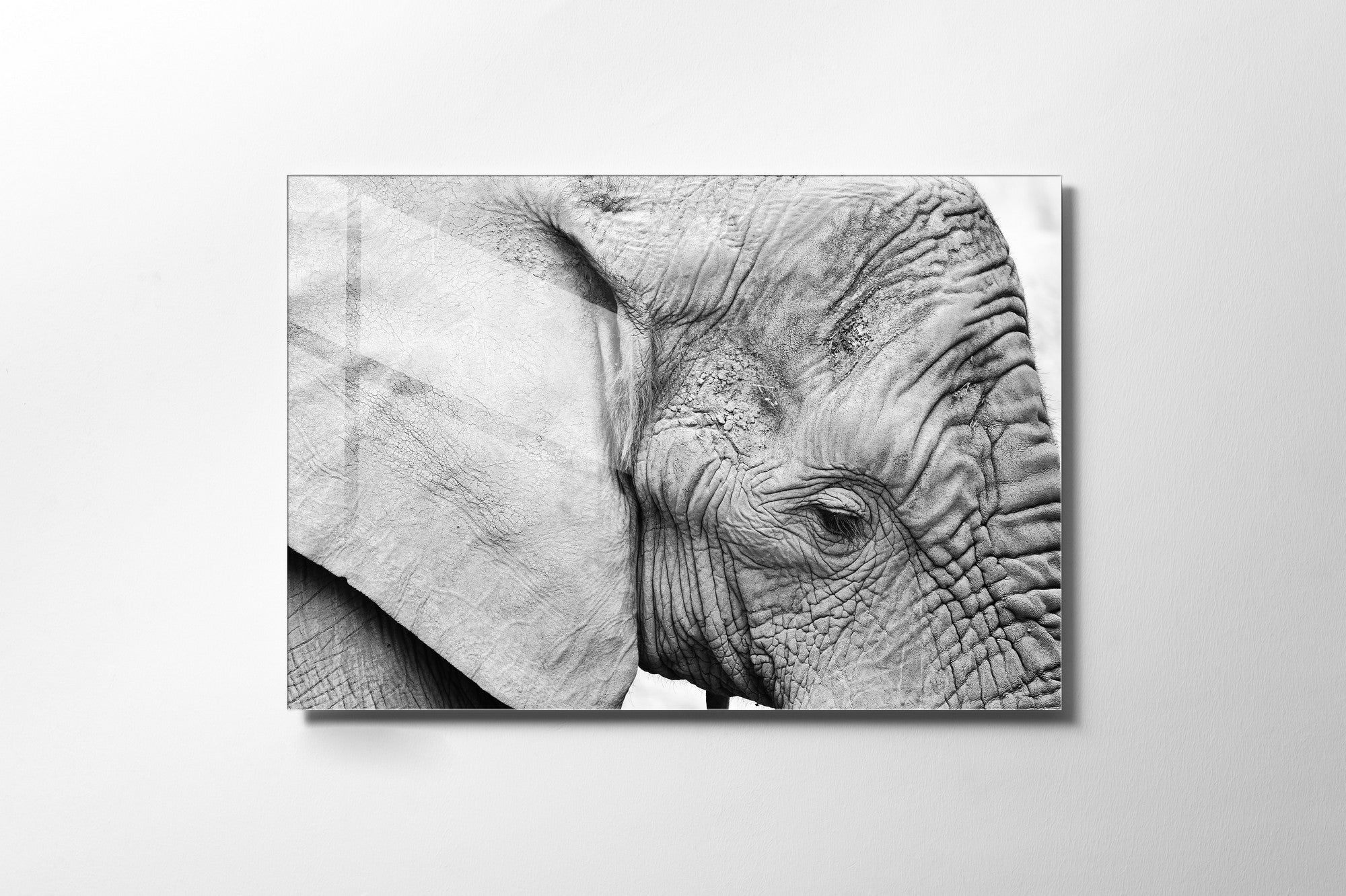 970GLS1791Tribo Home