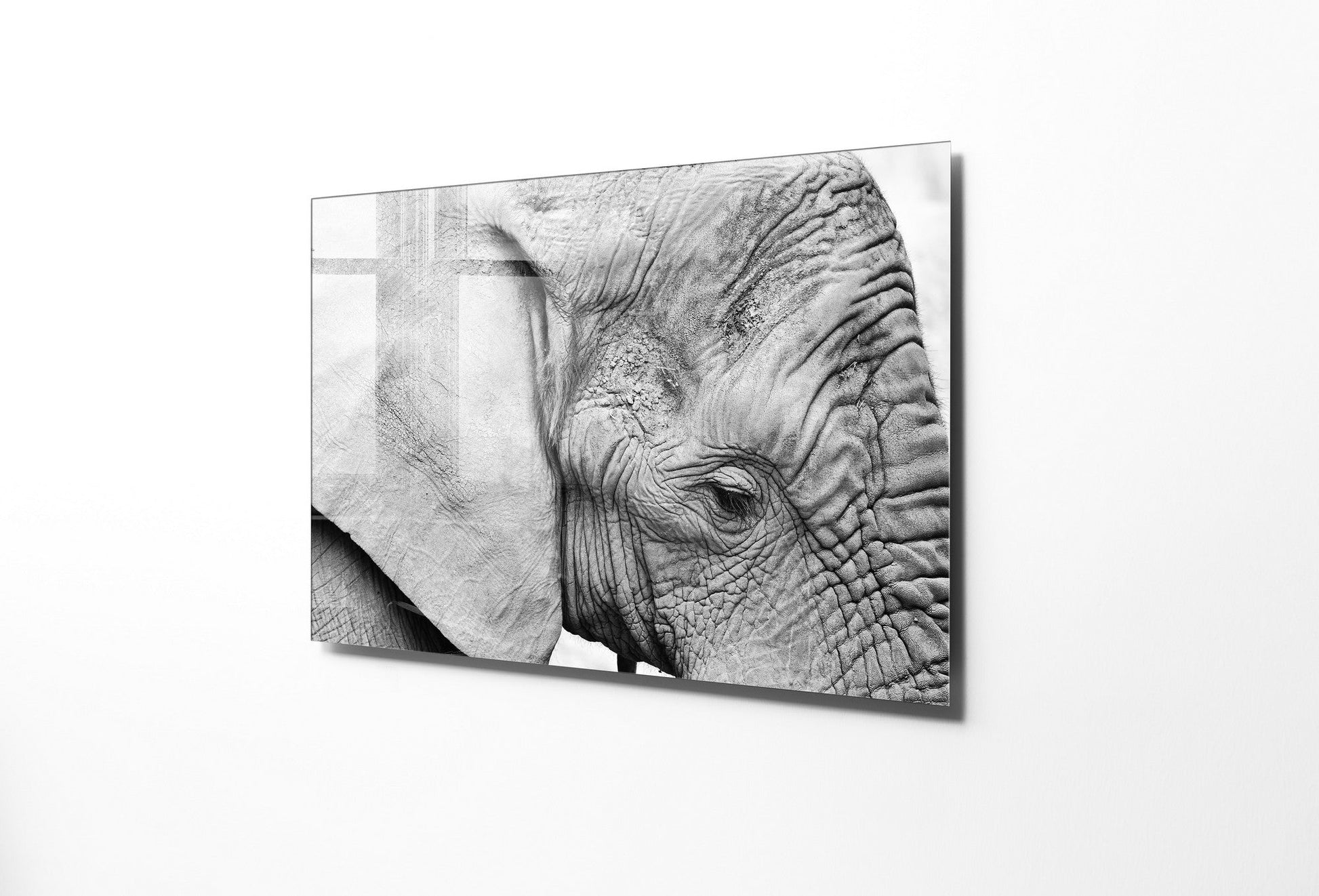 970GLS1791Tribo Home