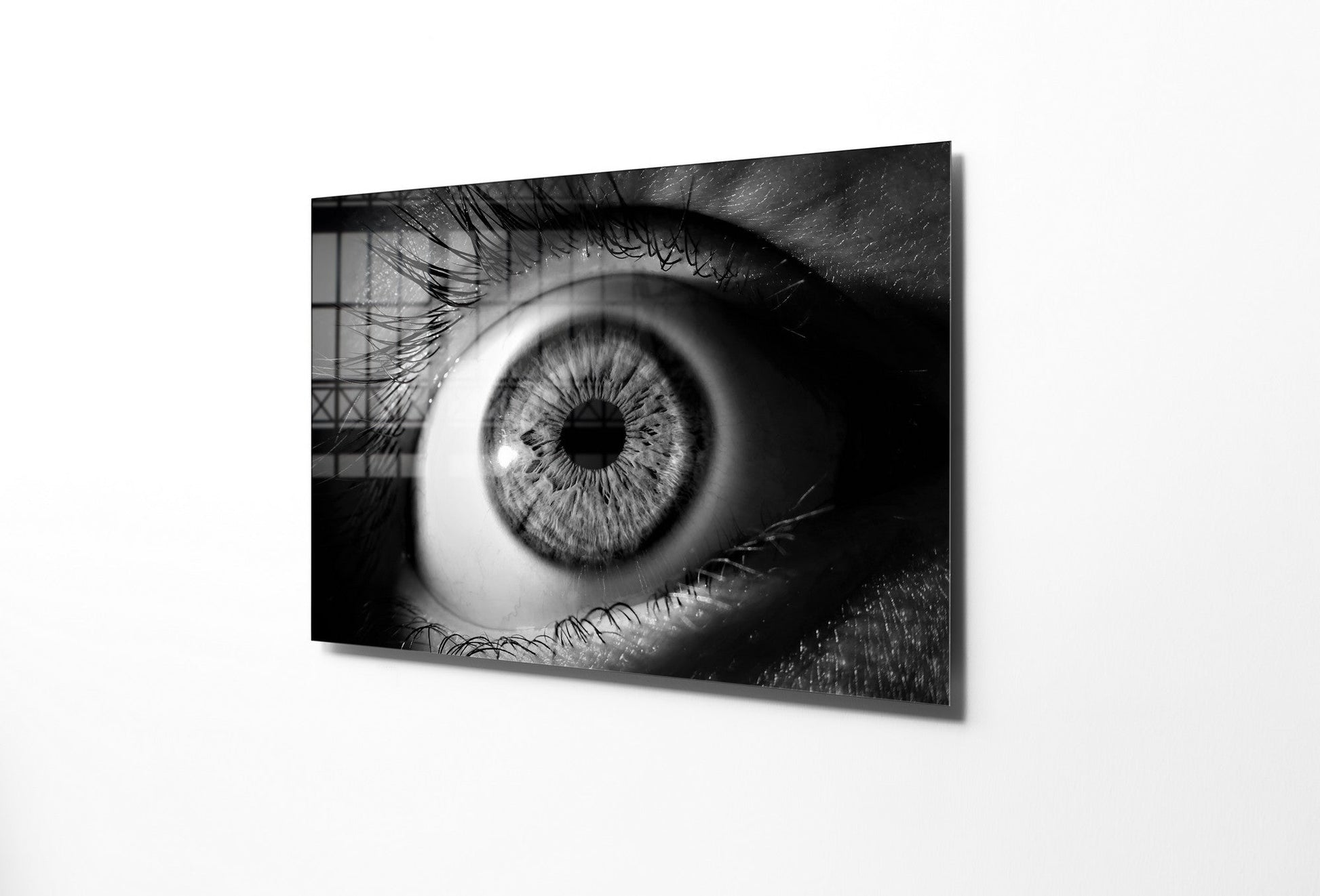 970GLS1806Tribo Home