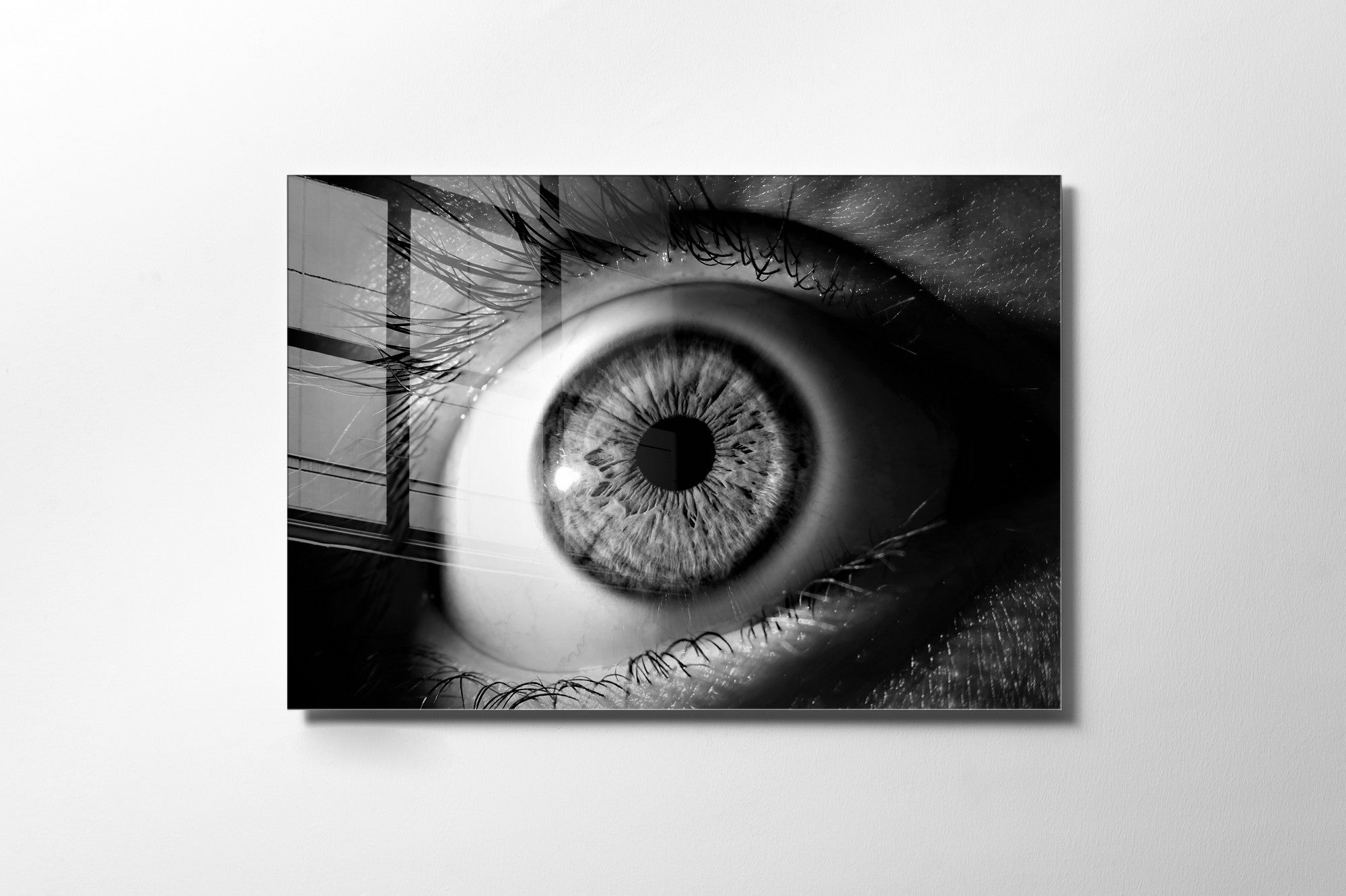 970GLS1809Tribo Home