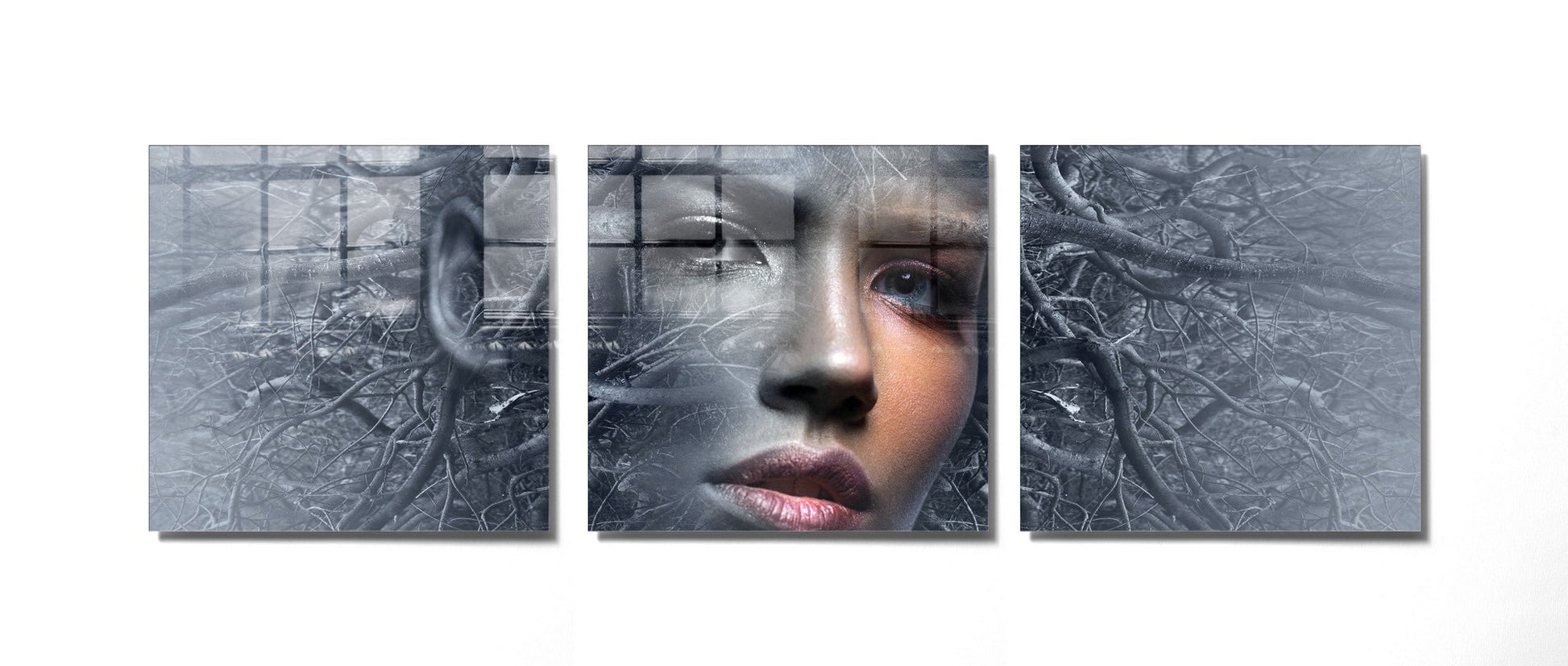 970GLS1818Tribo Home