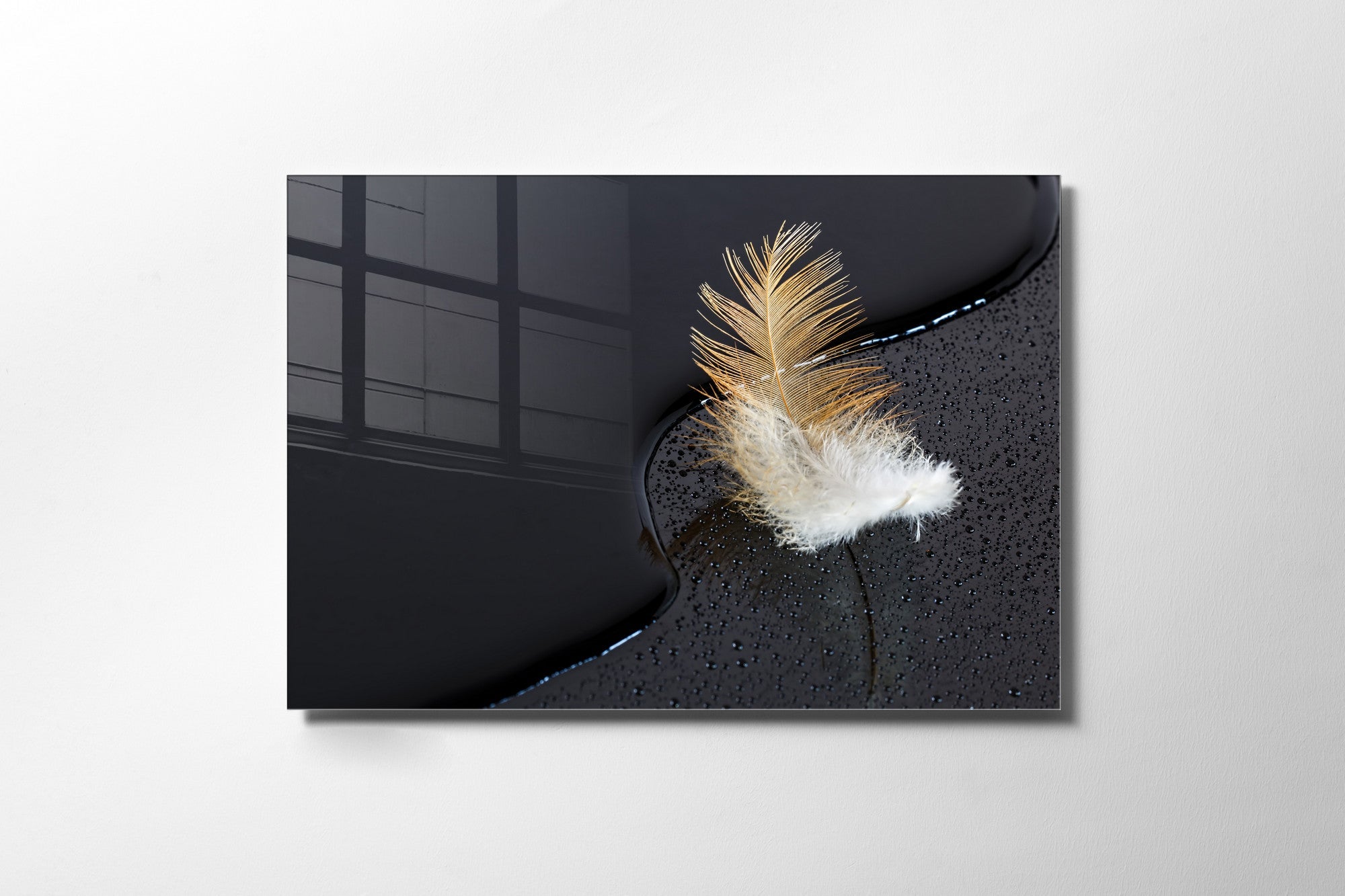 970GLS1822Tribo Home