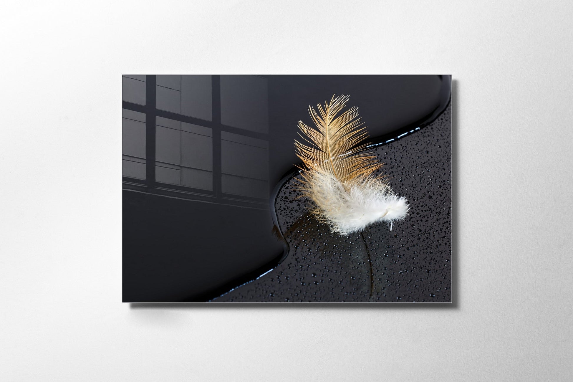 970GLS1824Tribo Home