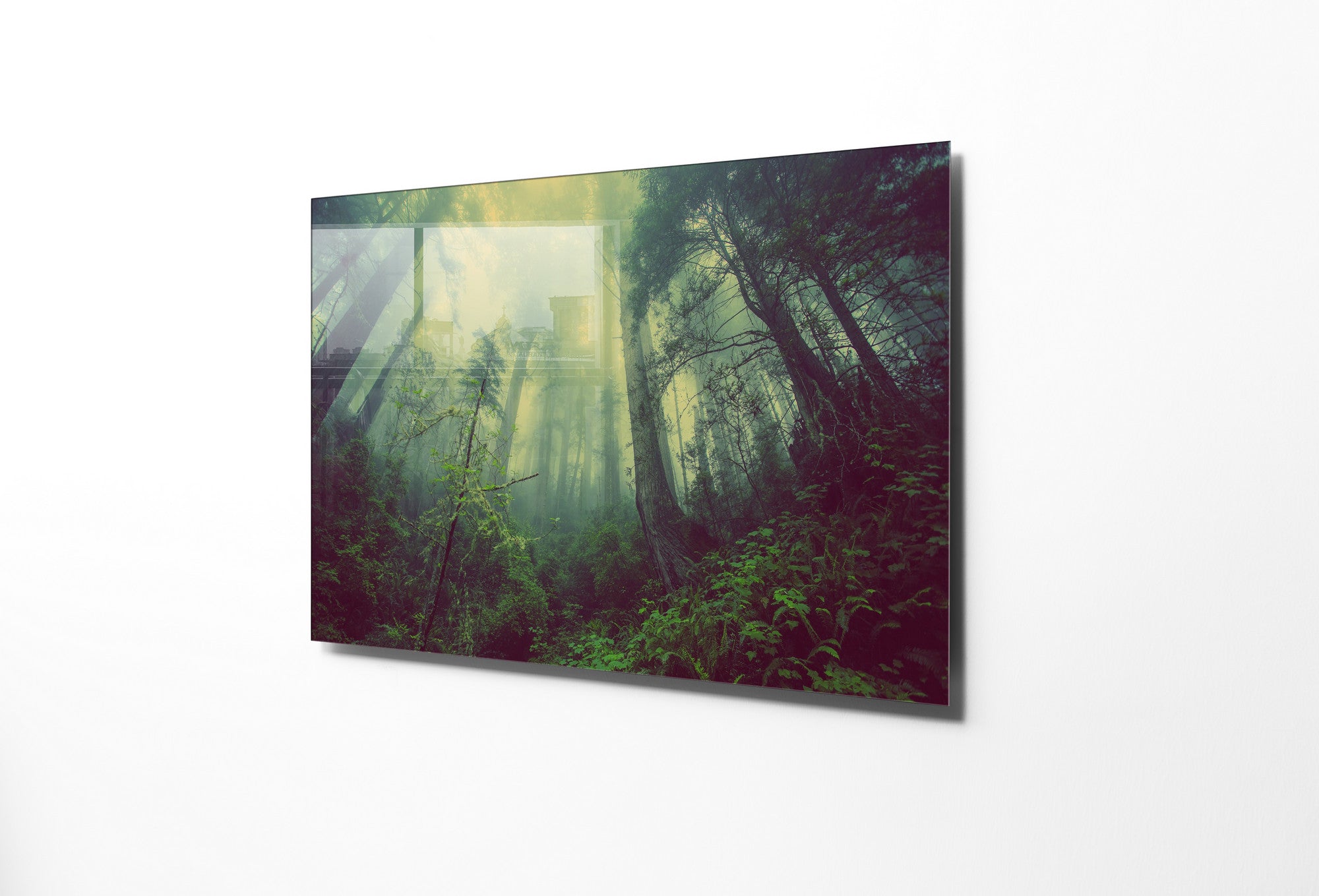 970GLS1834Tribo Home