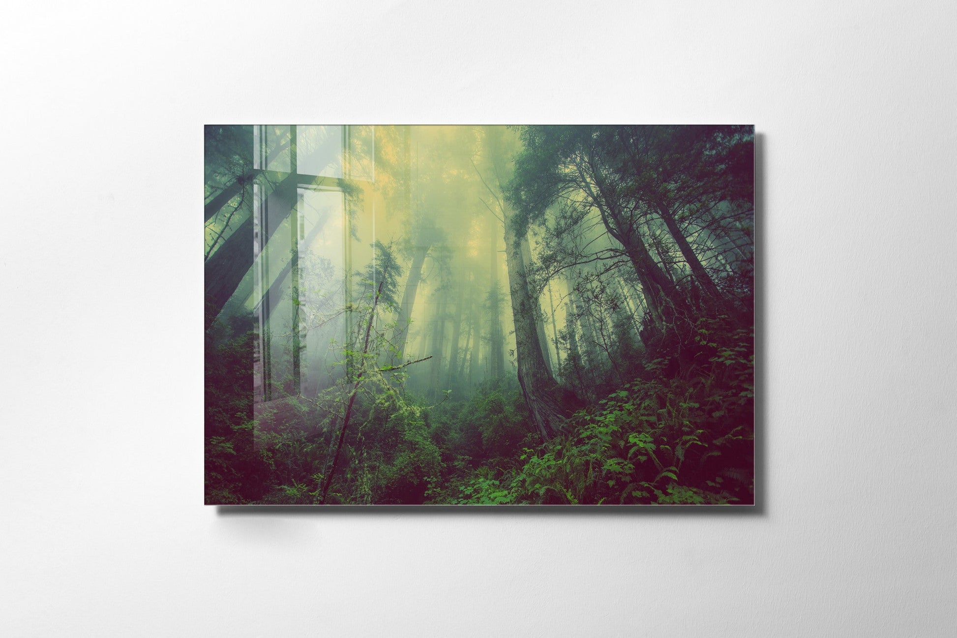 970GLS1834Tribo Home