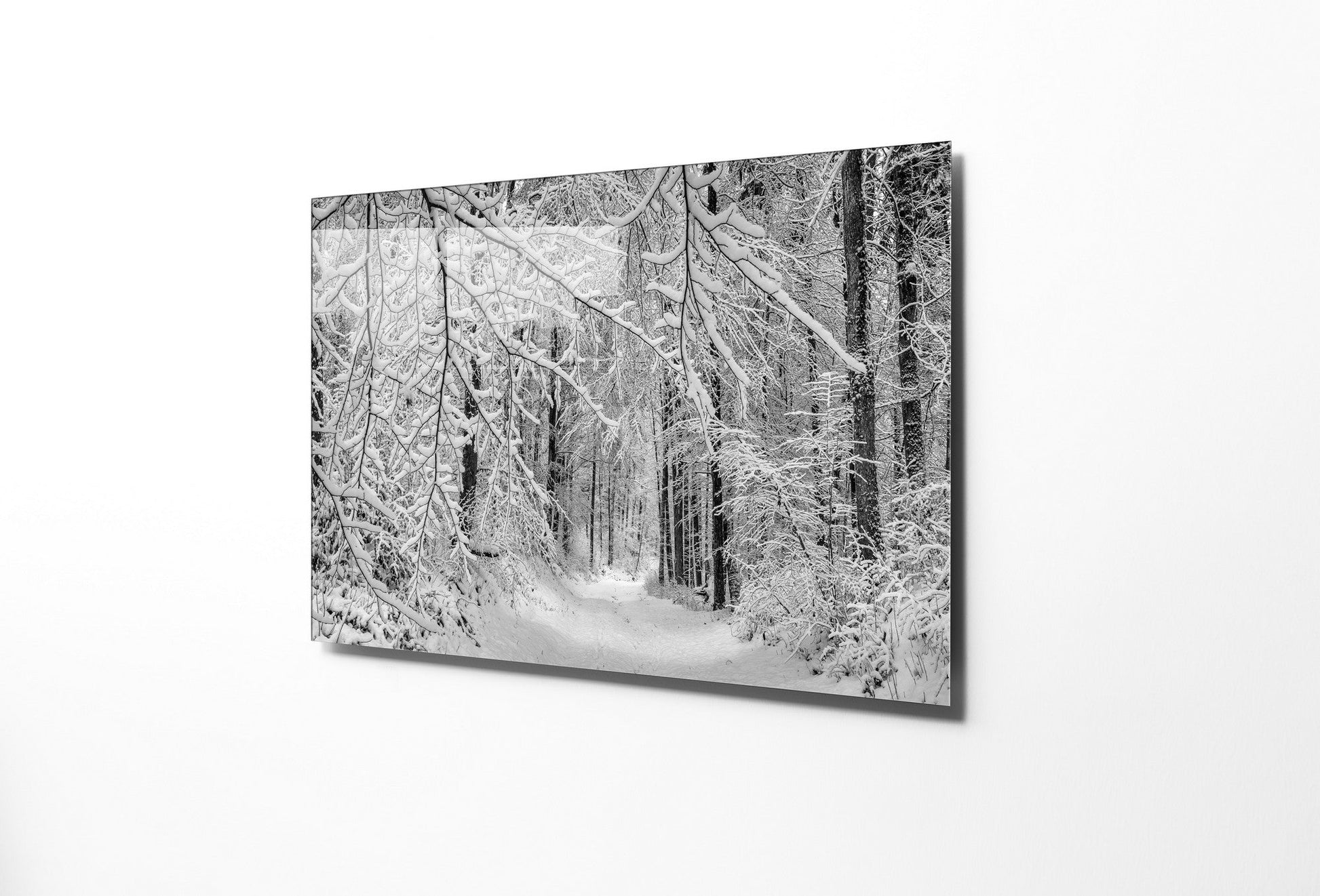 970GLS1845Tribo Home