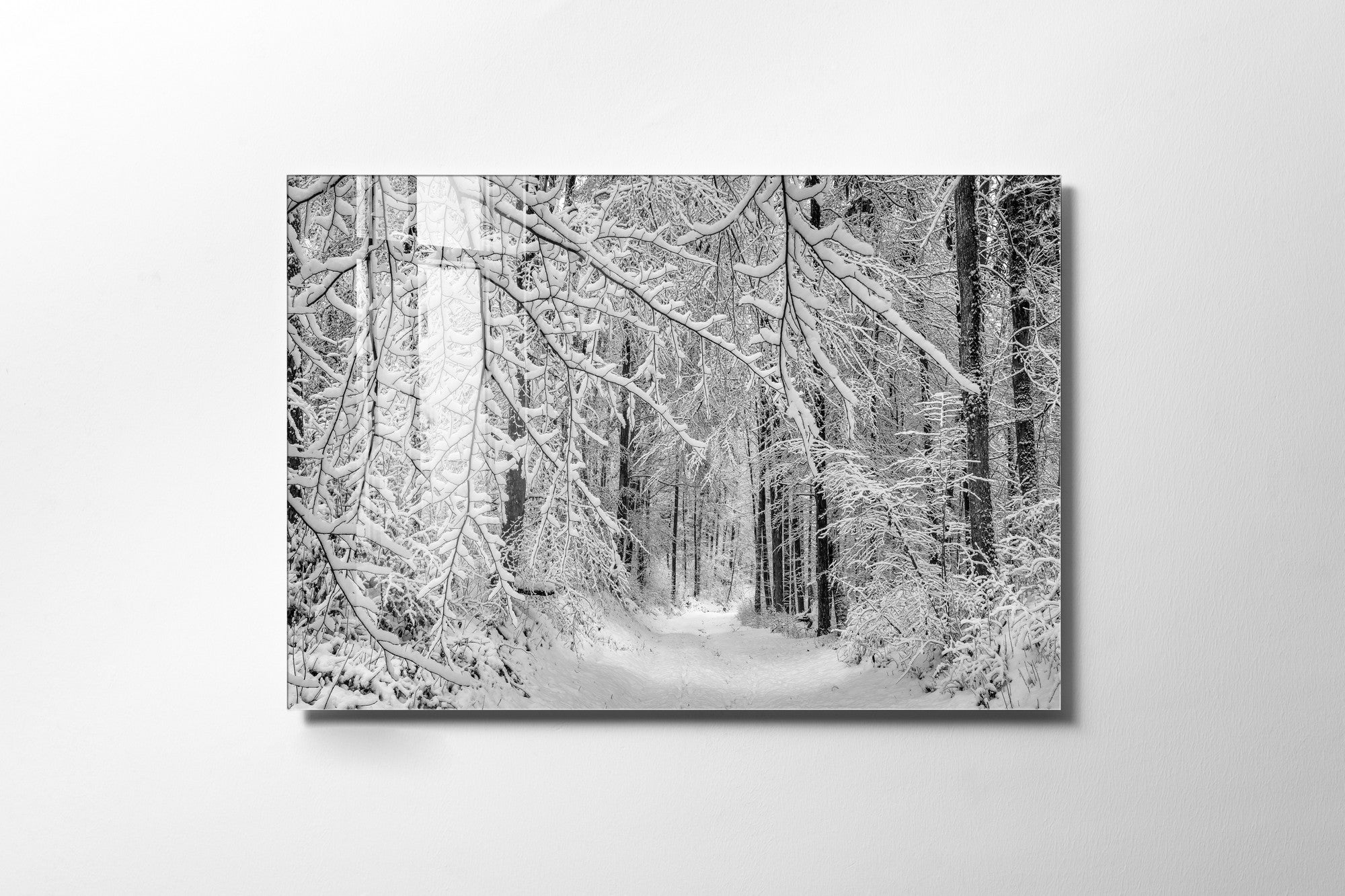 970GLS1845Tribo Home