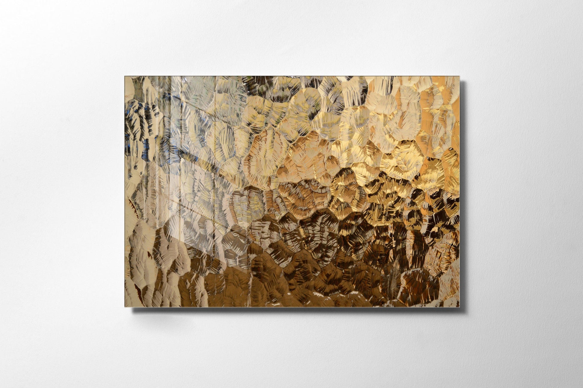 970GLS1910Tribo Home