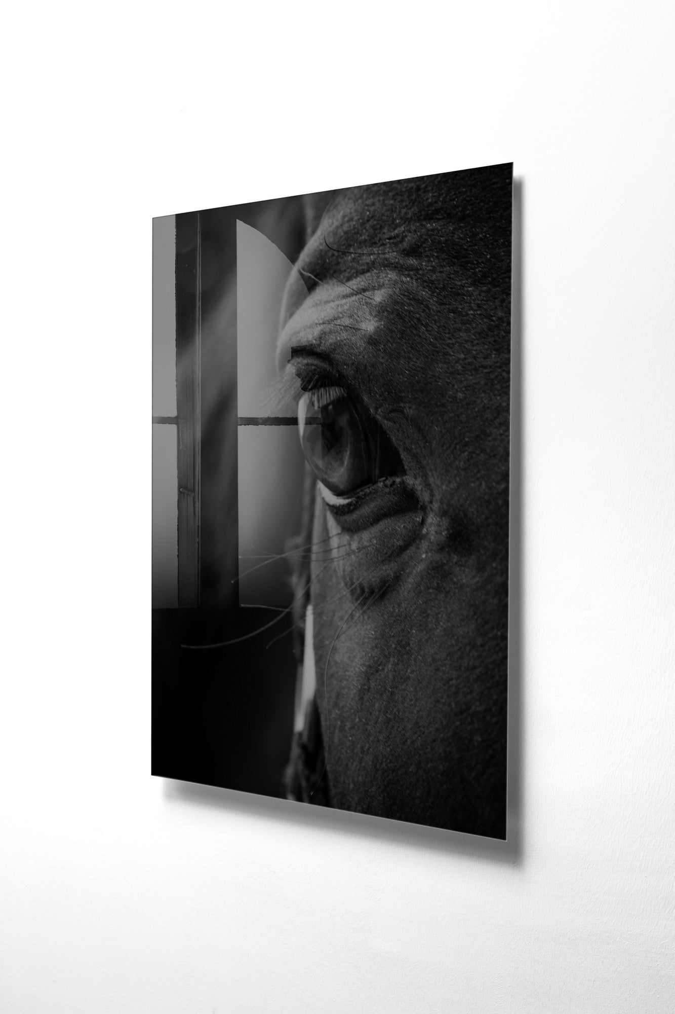 970GLS1930Tribo Home