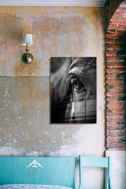 970GLS1931Tribo Home