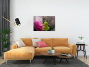 970GLS1933Tribo Home