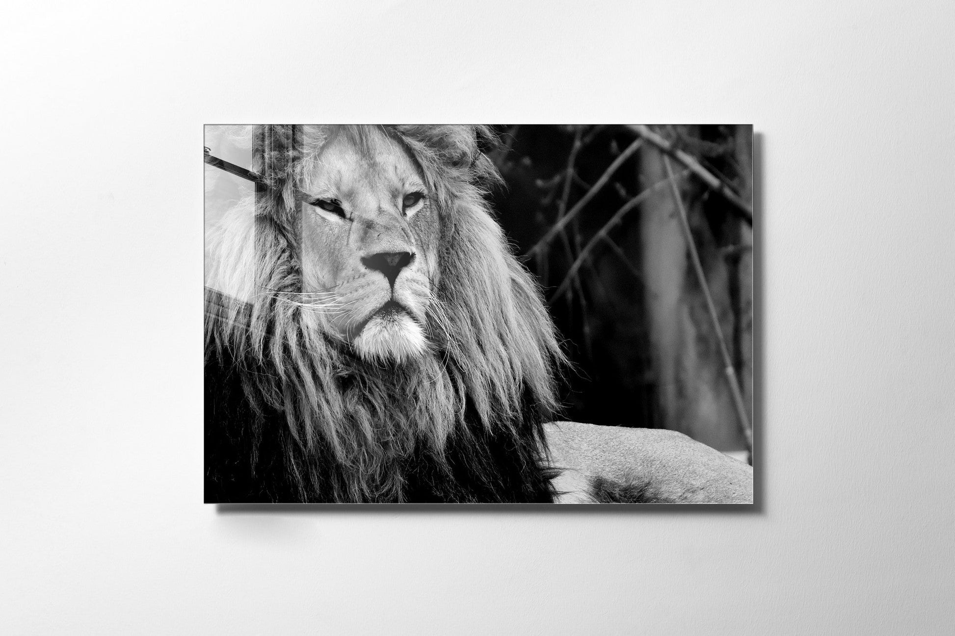 970GLS1958Tribo Home