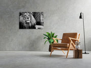 970GLS1959Tribo Home