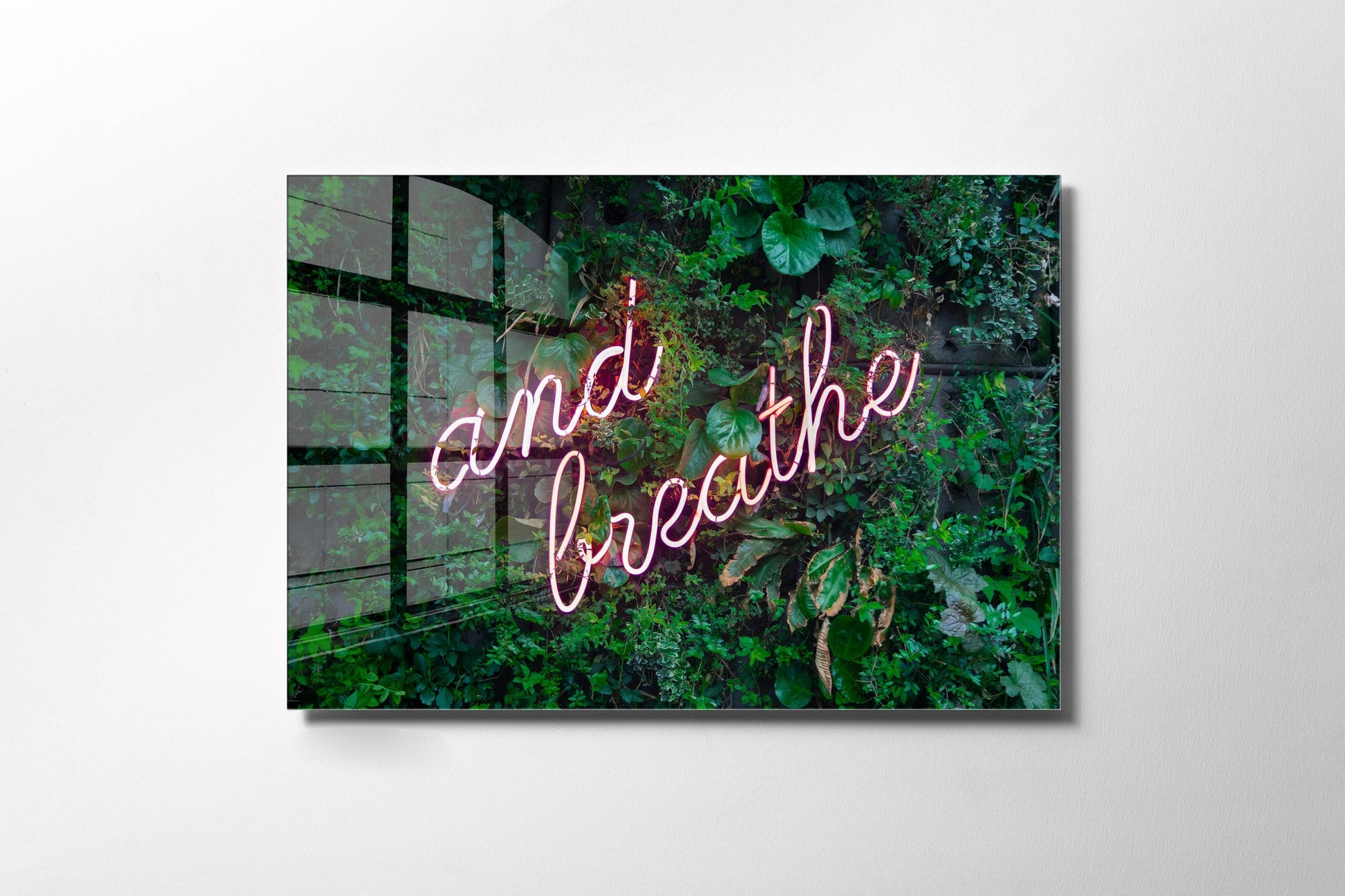 970GLS1975Tribo Home