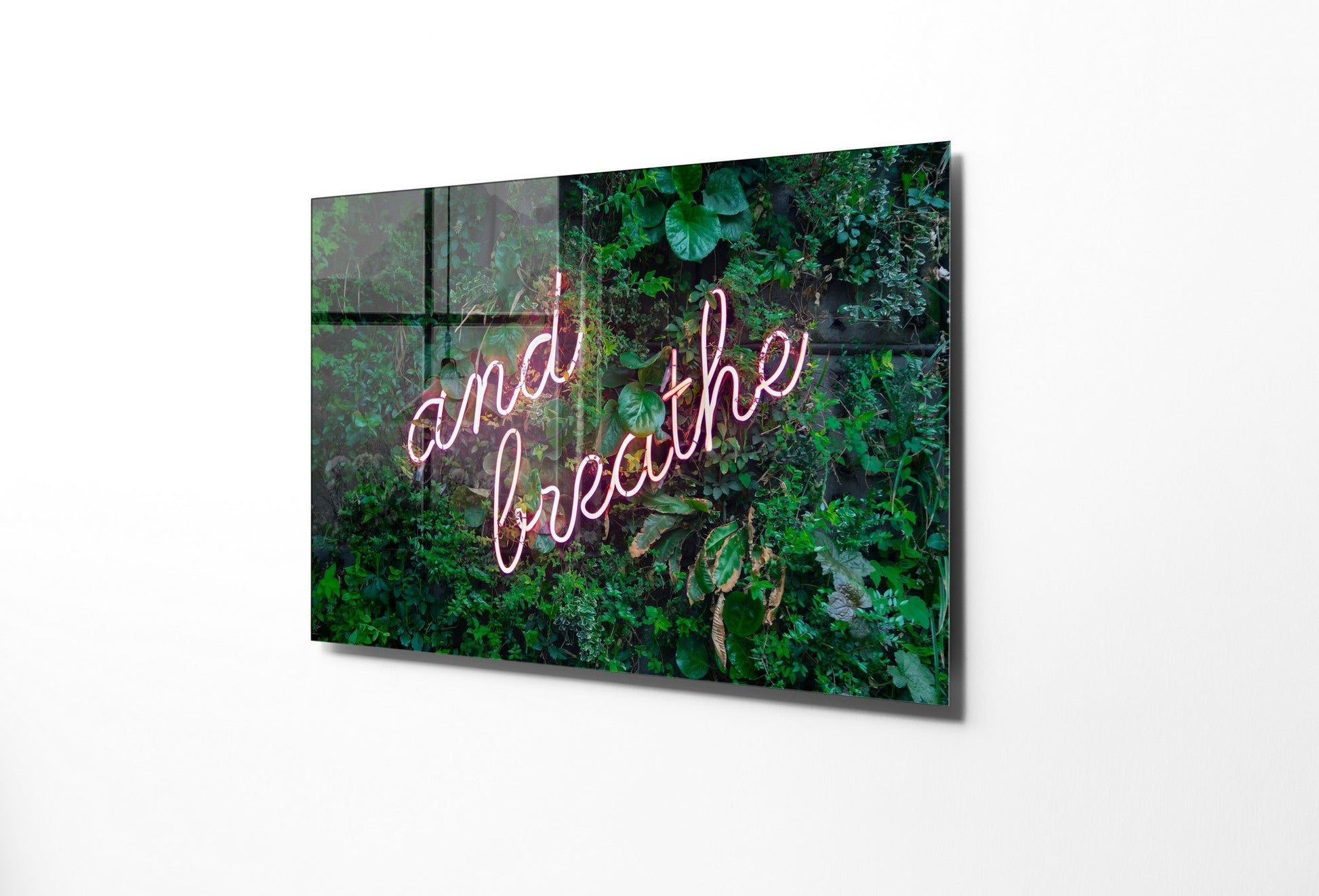 970GLS1975Tribo Home