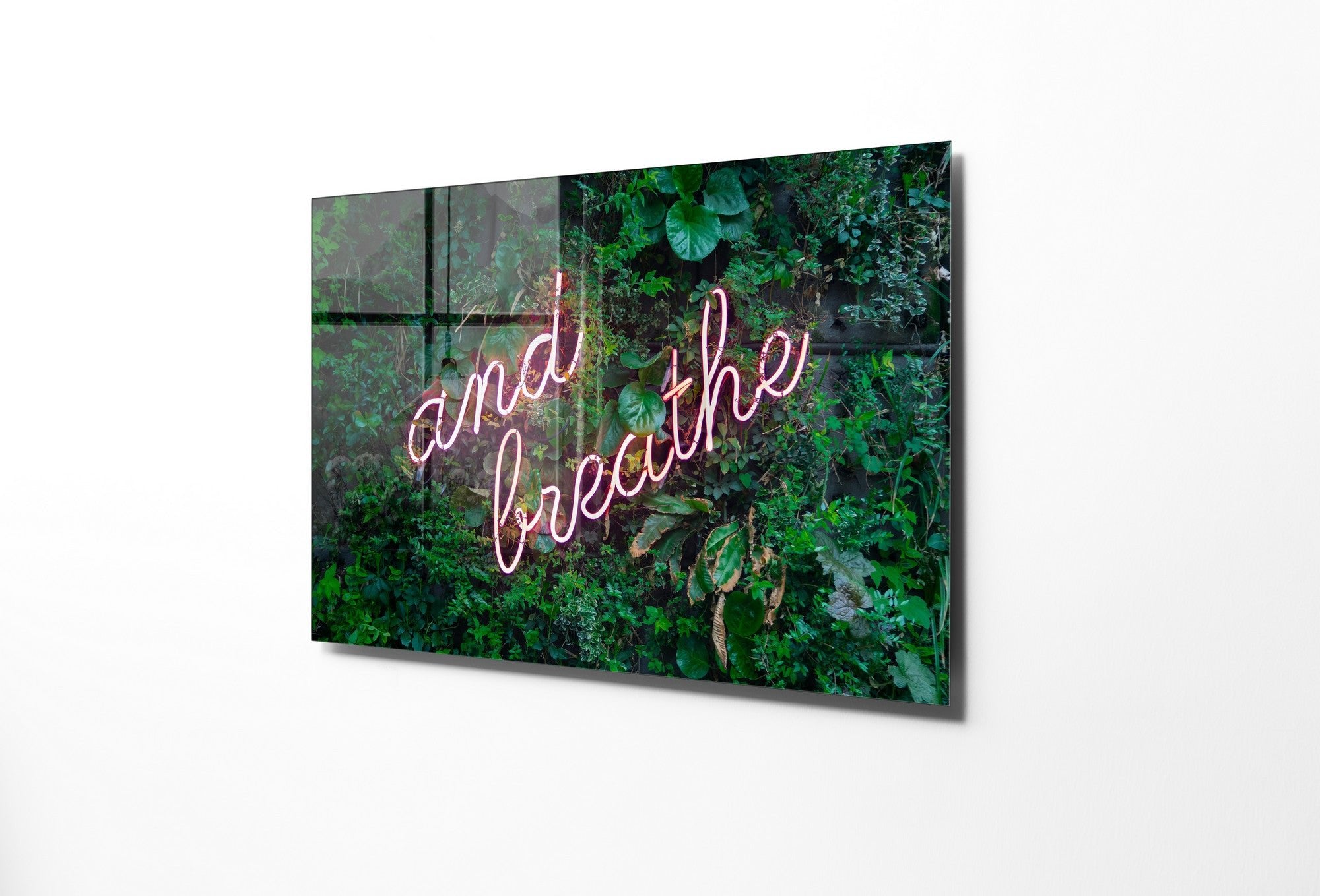 970GLS1975Tribo Home