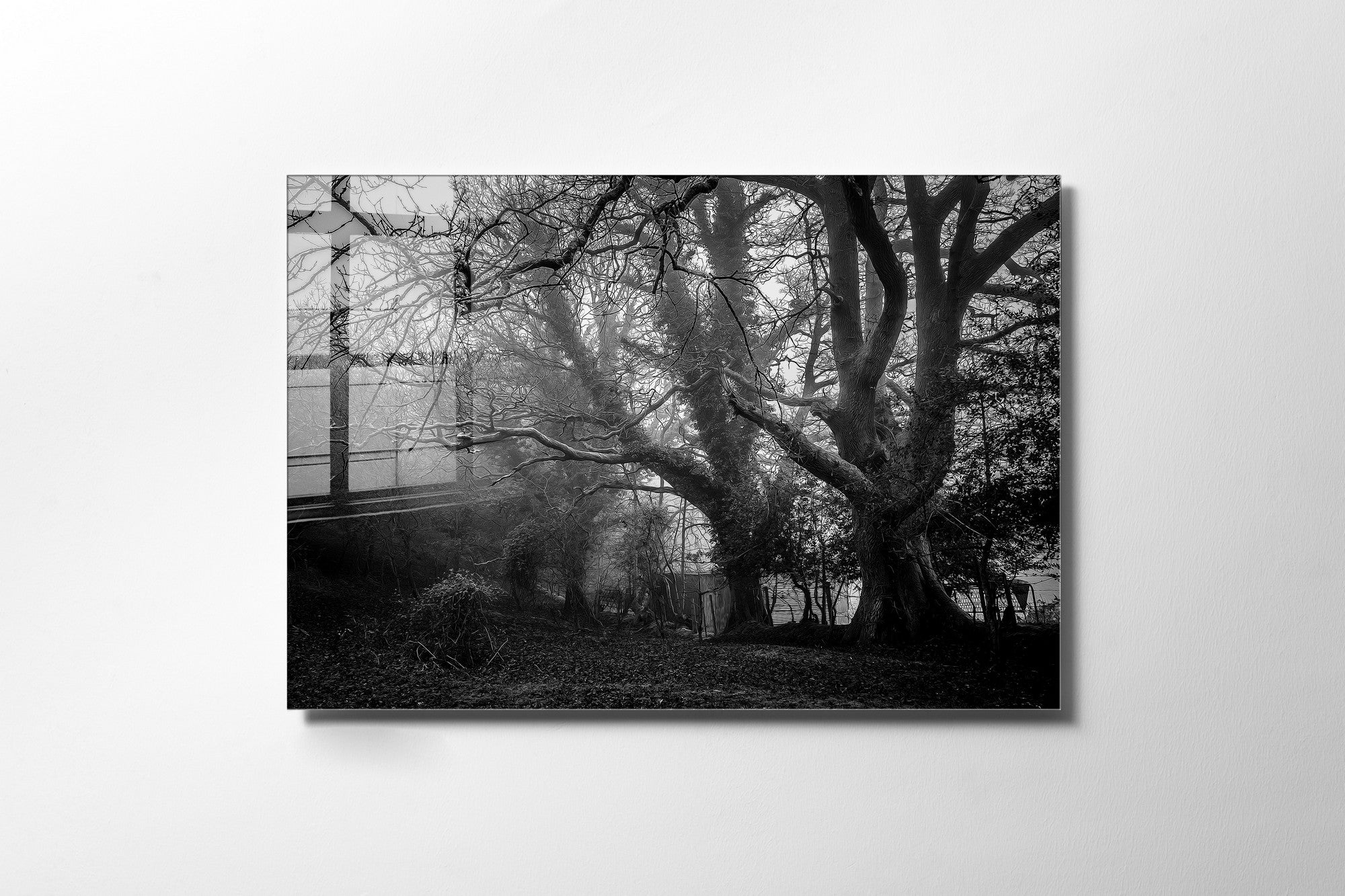 970GLS2160Tribo Home