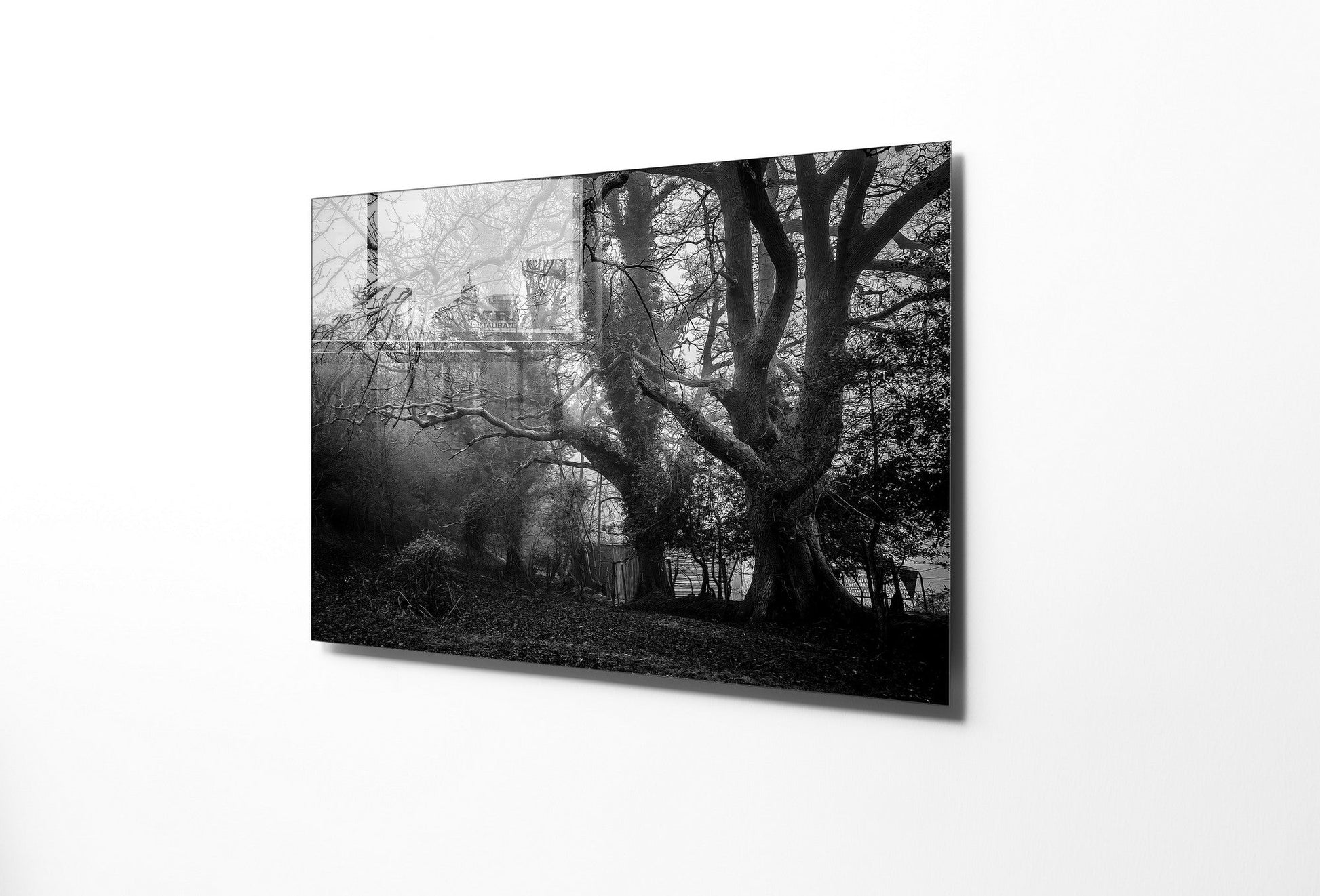 970GLS2161Tribo Home