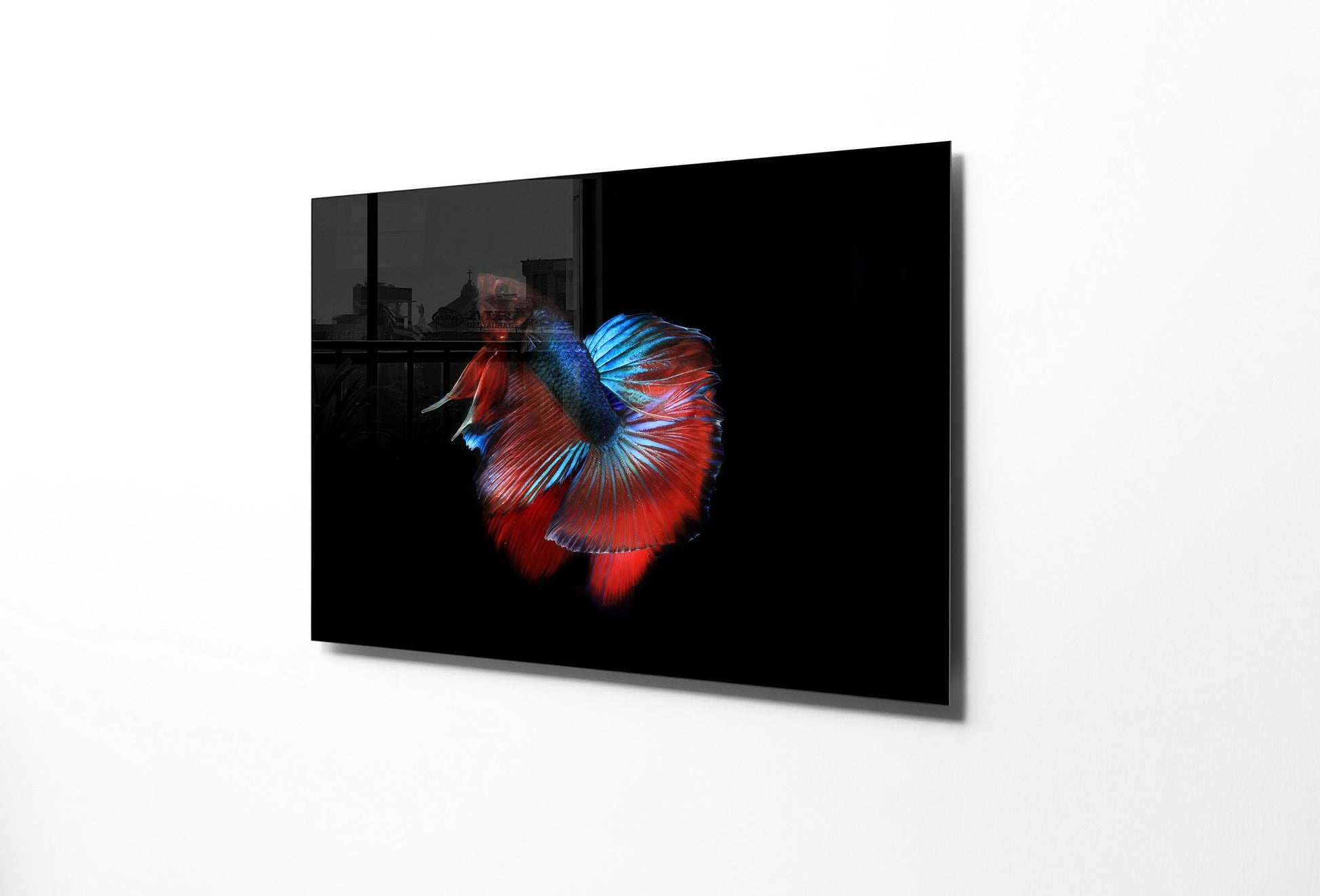 970GLS2164Tribo Home