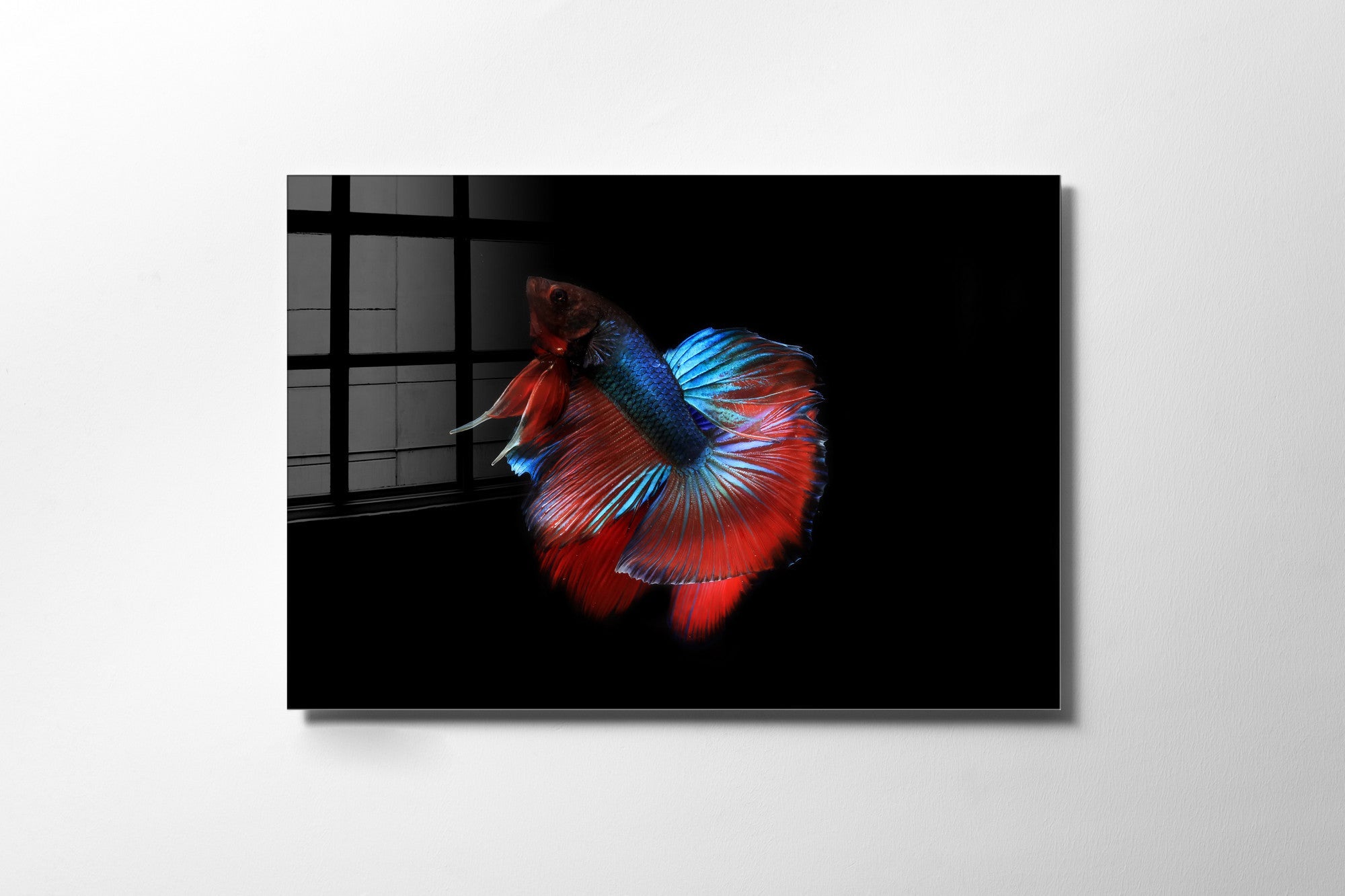 970GLS2167Tribo Home