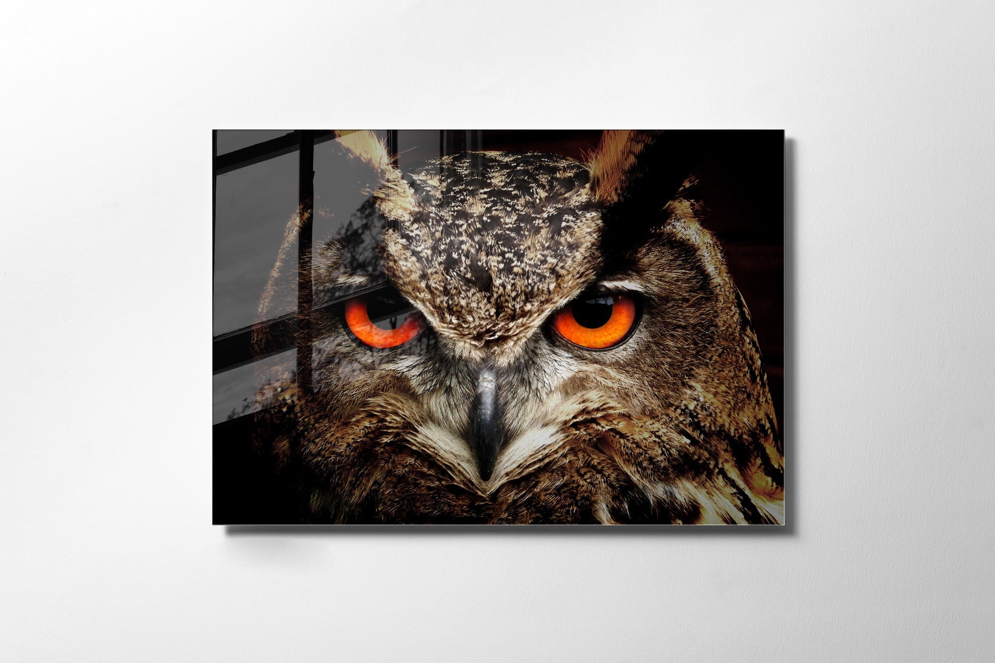 970GLS2184Tribo Home