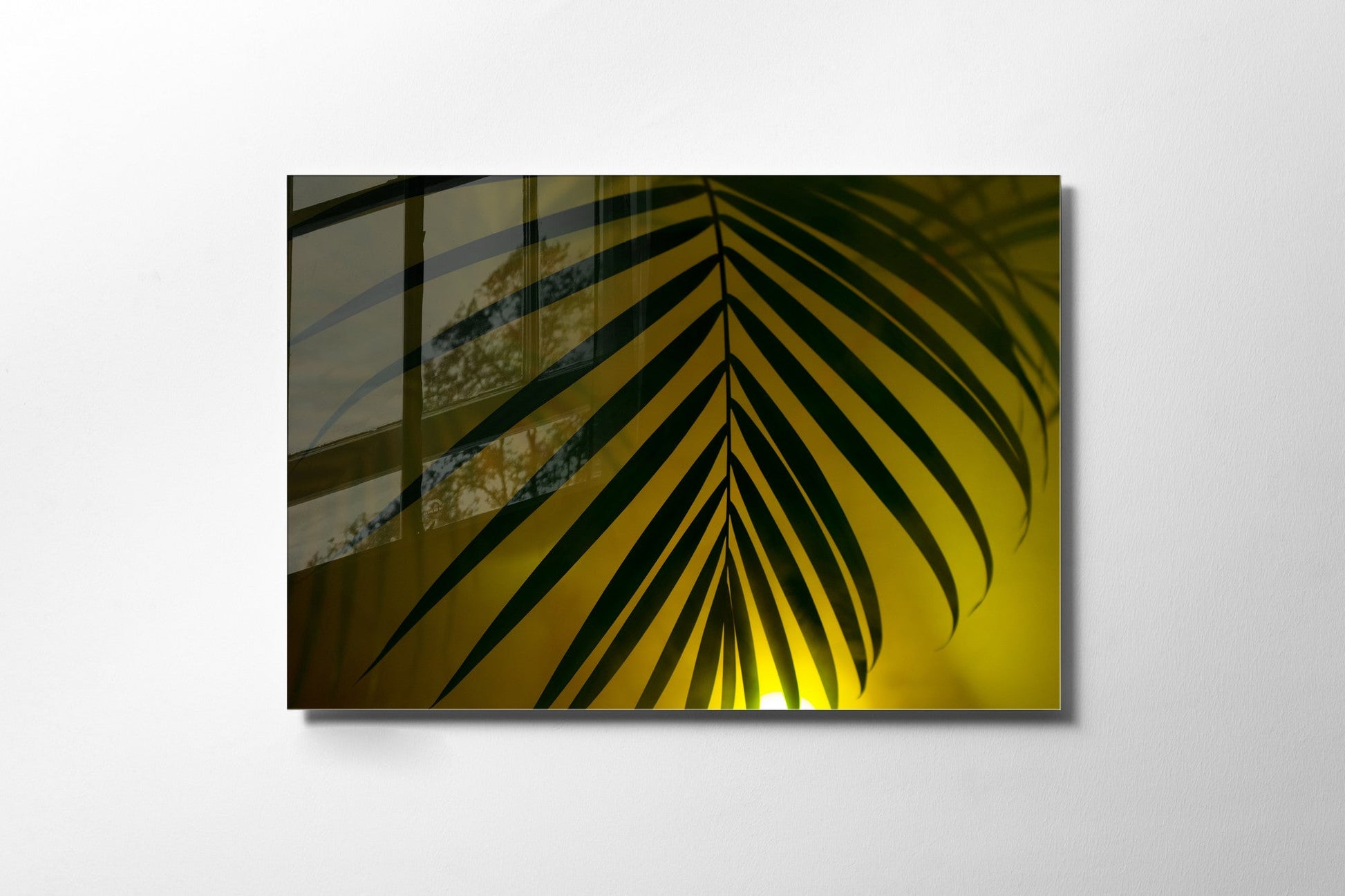 970GLS2195Tribo Home