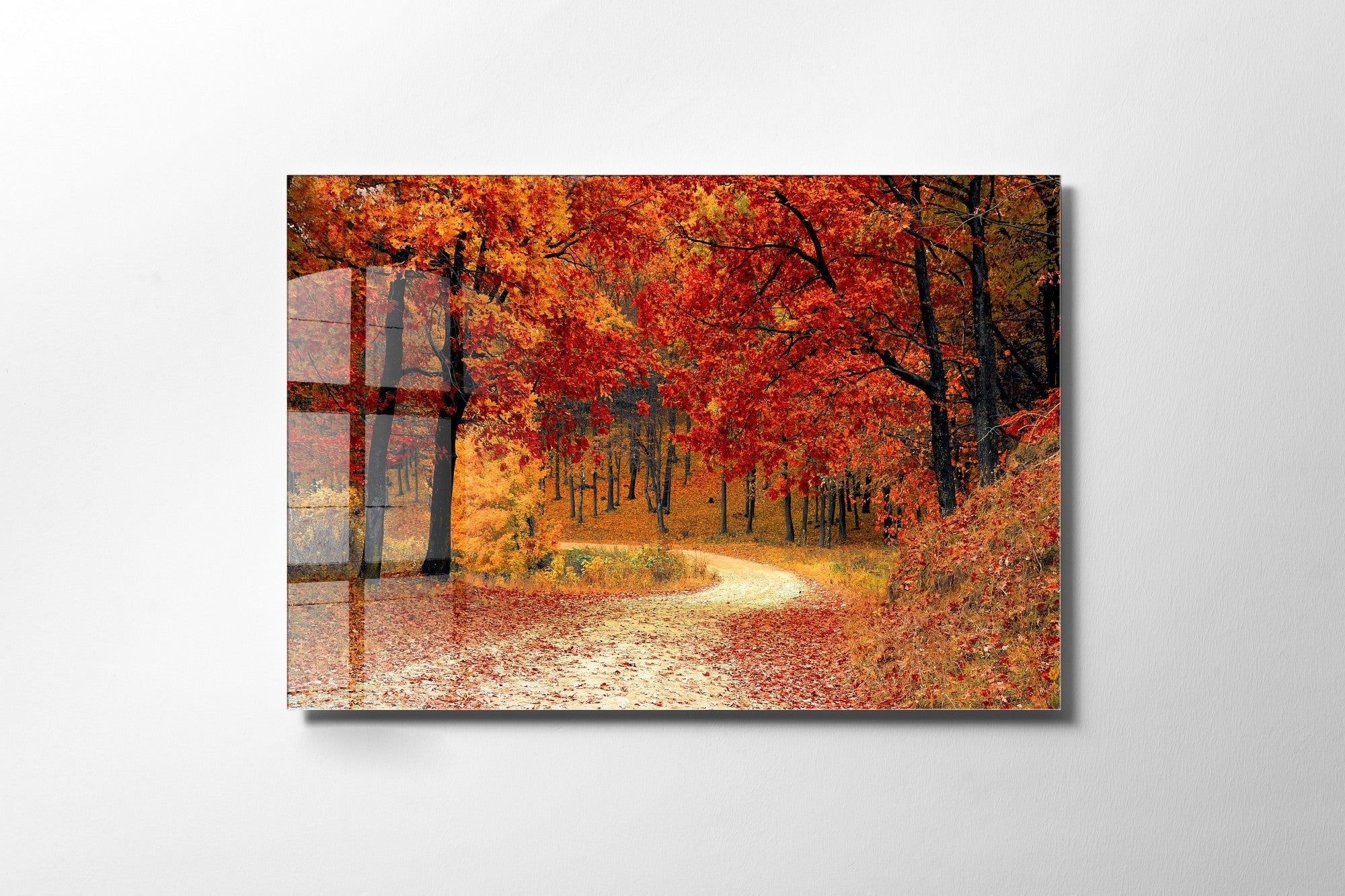 970GLS2231Tribo Home