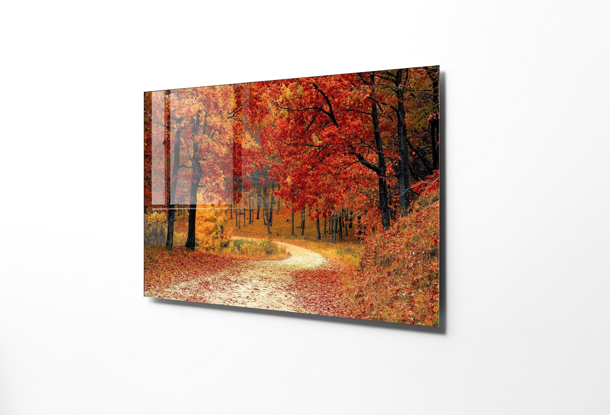 970GLS2234Tribo Home