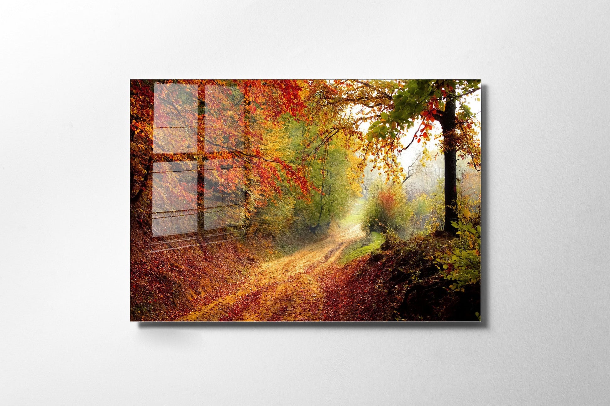 970GLS2236Tribo Home